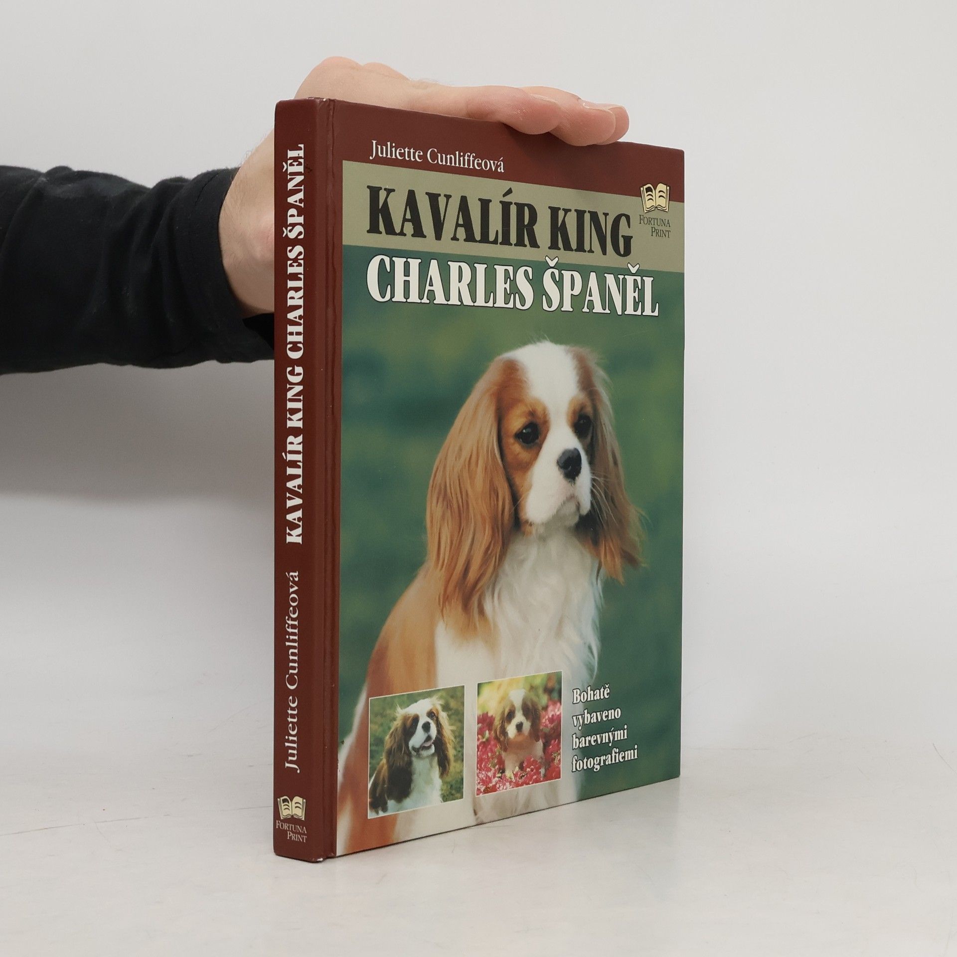 Juliette Cunliffe Kavalír king Charles španěl