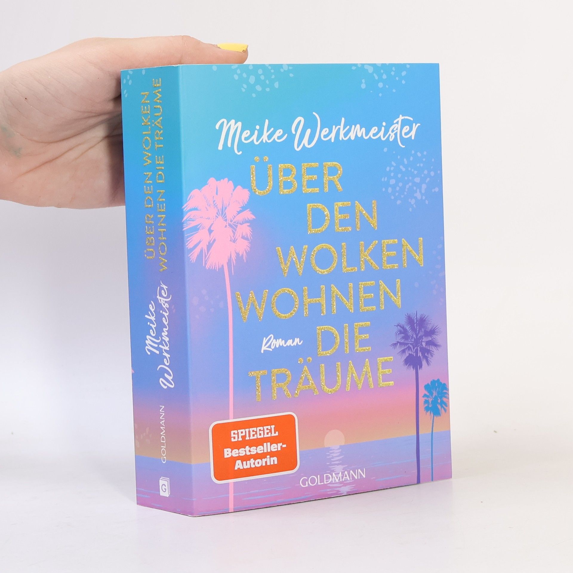 Meike Werkmeister Über den Wolken wohnen die Träume