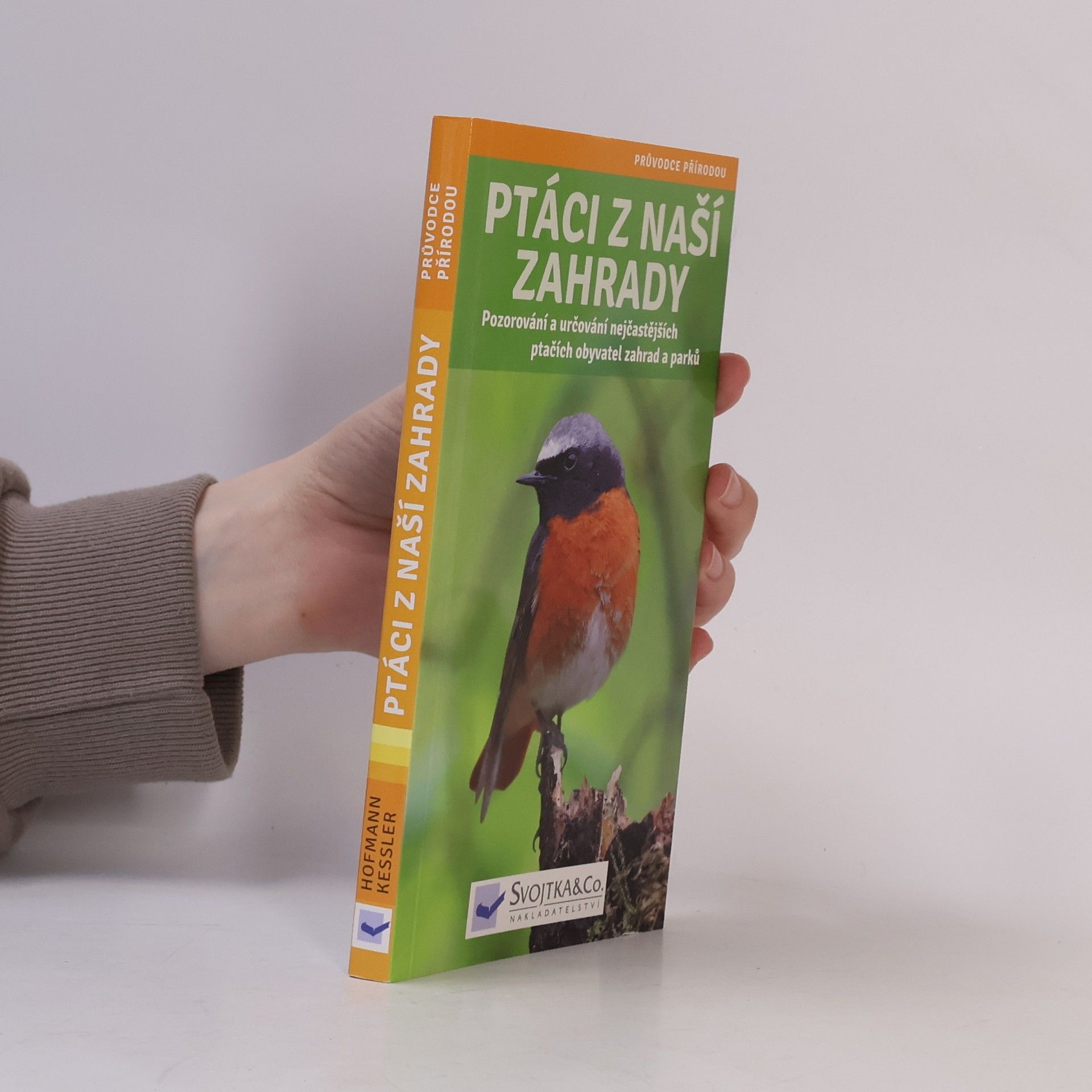 Kolektiv autorů Ptáci z naší zahrady