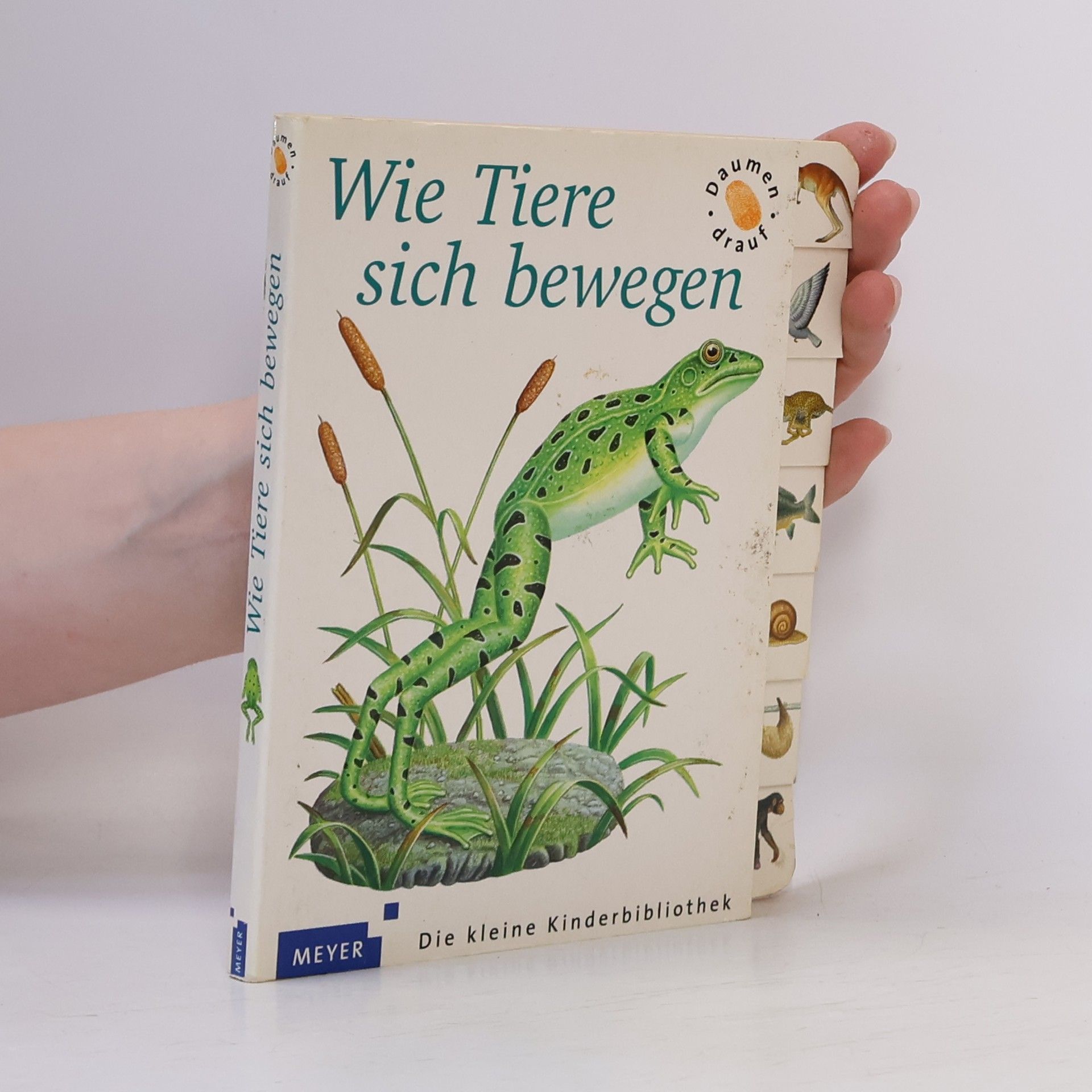 Autorenkollektiv Wie Tiere sich bewegen