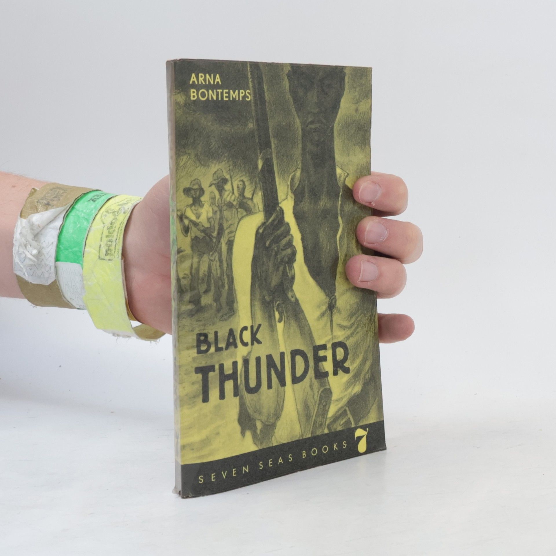 Arna Bontemps Black thunder