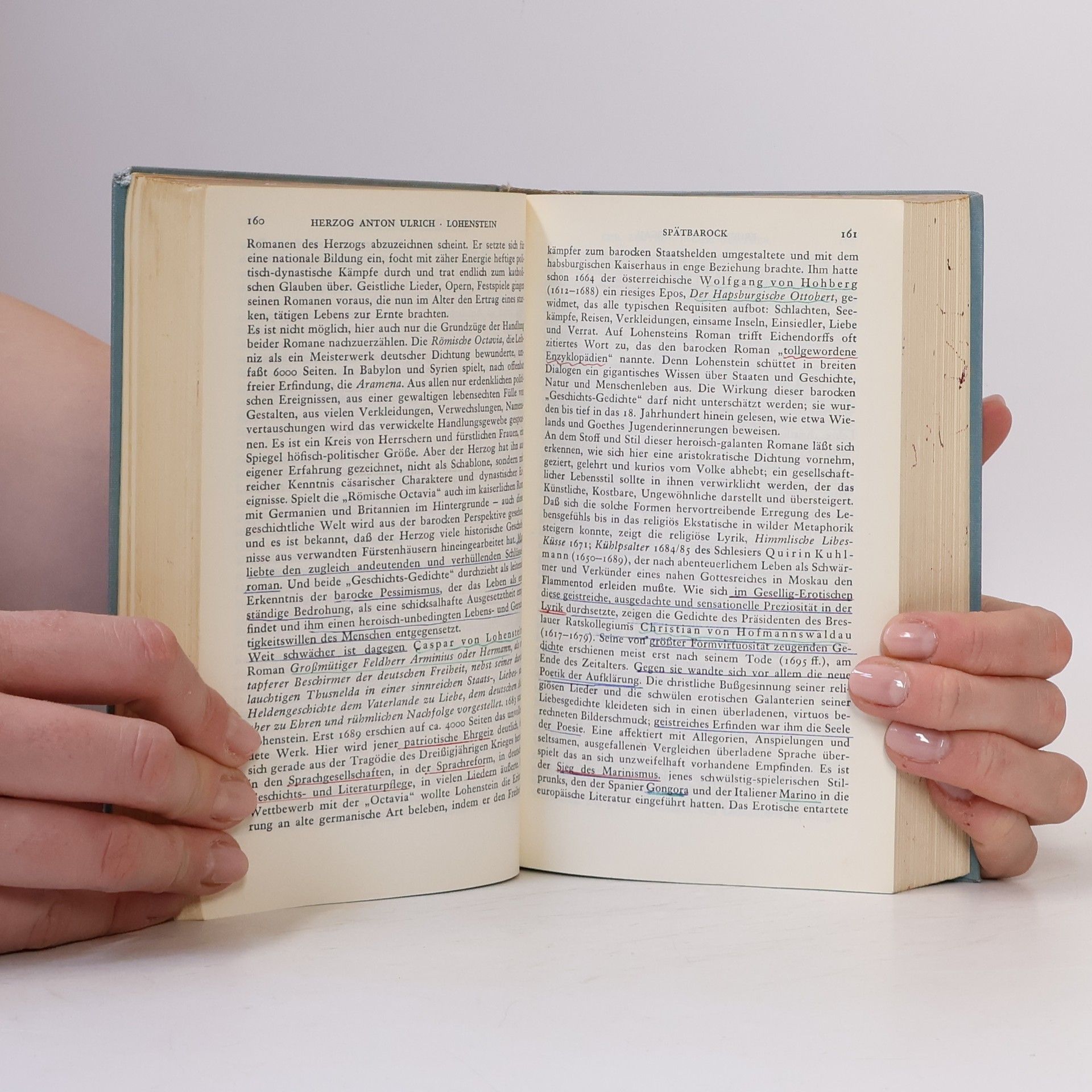 Fritz Martini Deutsche Literatur Geschichte