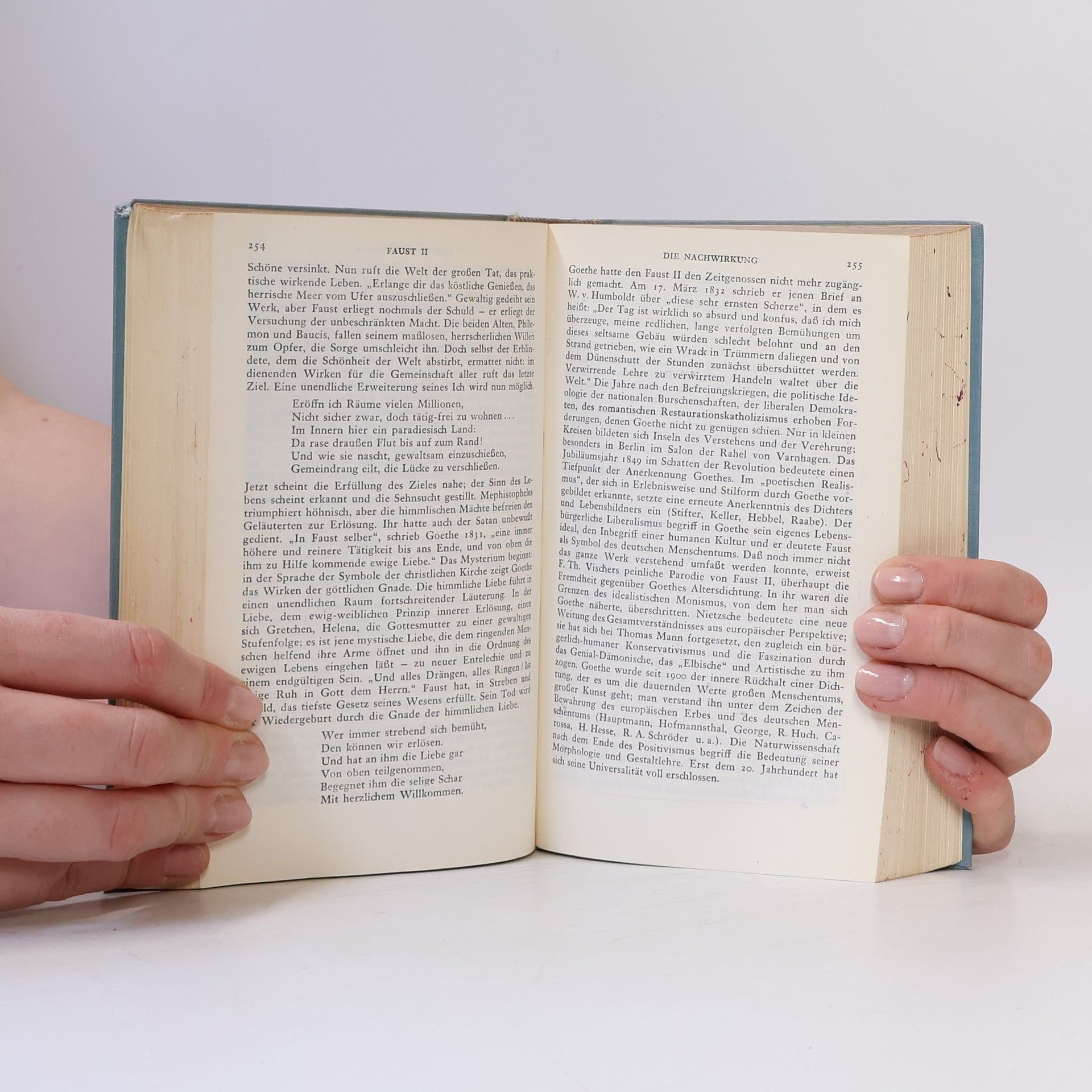Fritz Martini Deutsche Literatur Geschichte