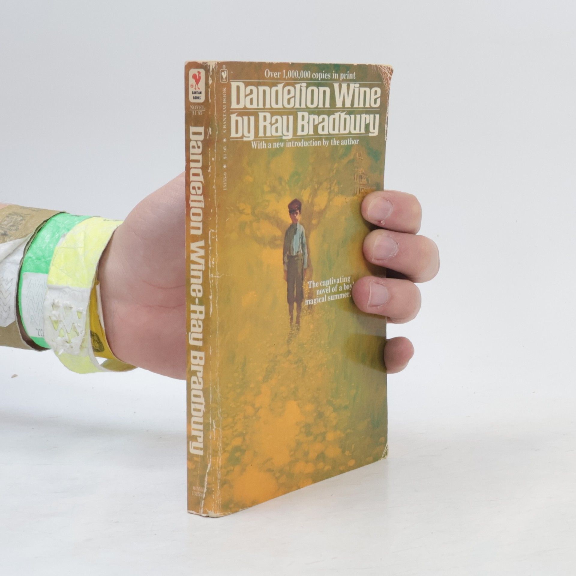 Ray Bradbury Dandelion Wine