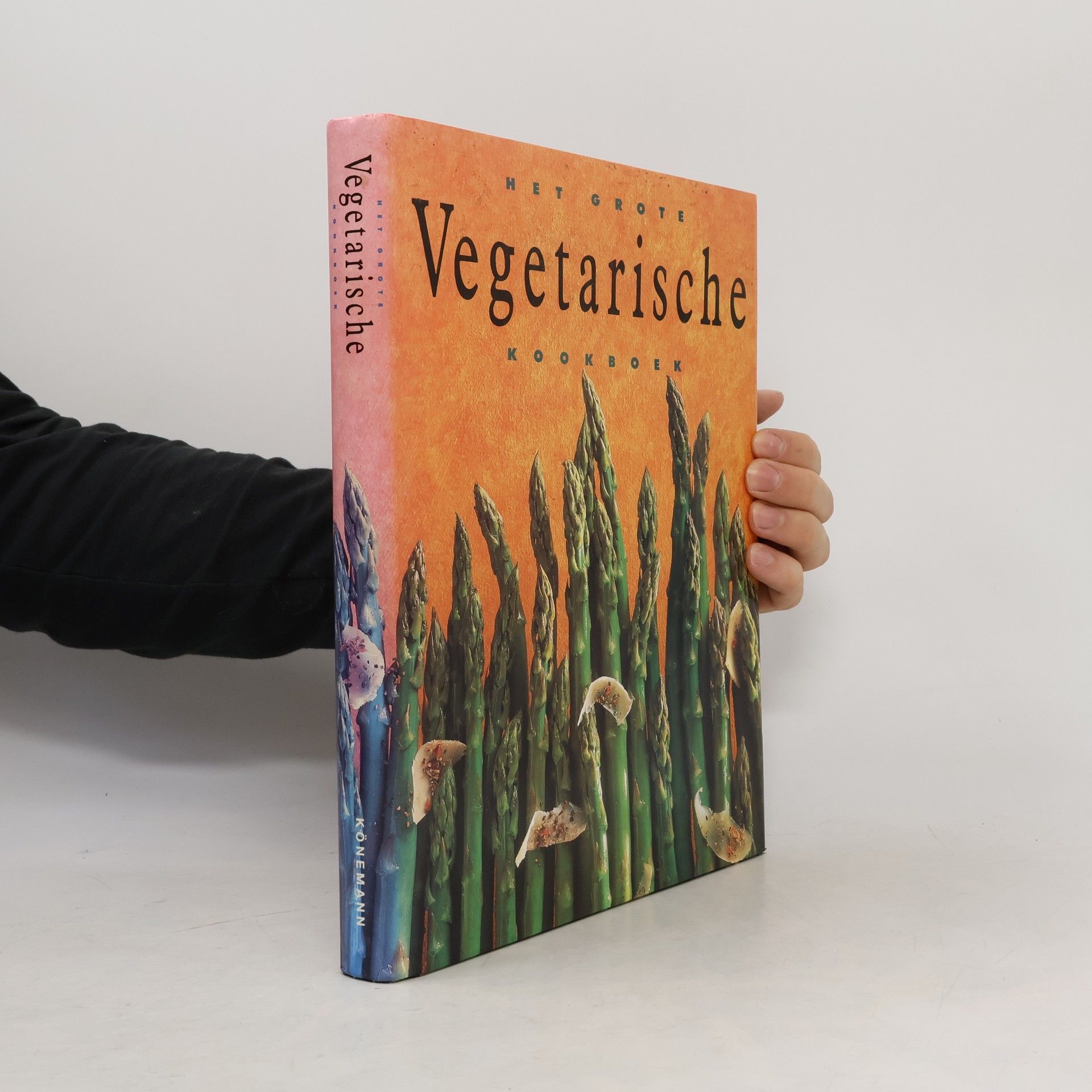 Anna Vesting Het grote vegetarische kookboek