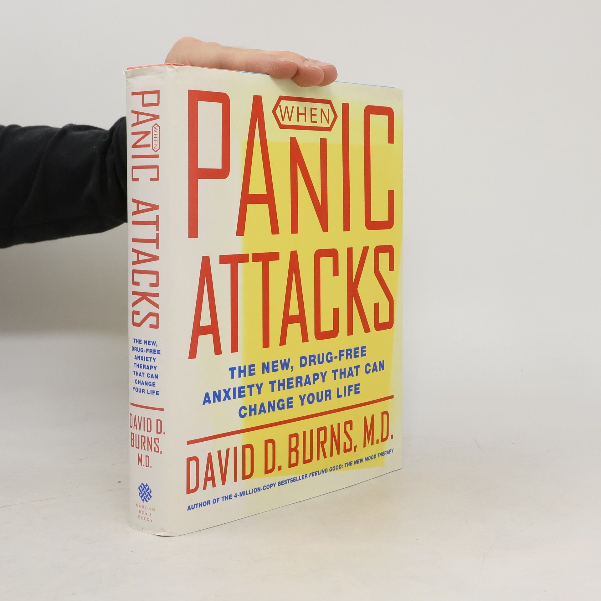 David D. Burns When Panic Attacks