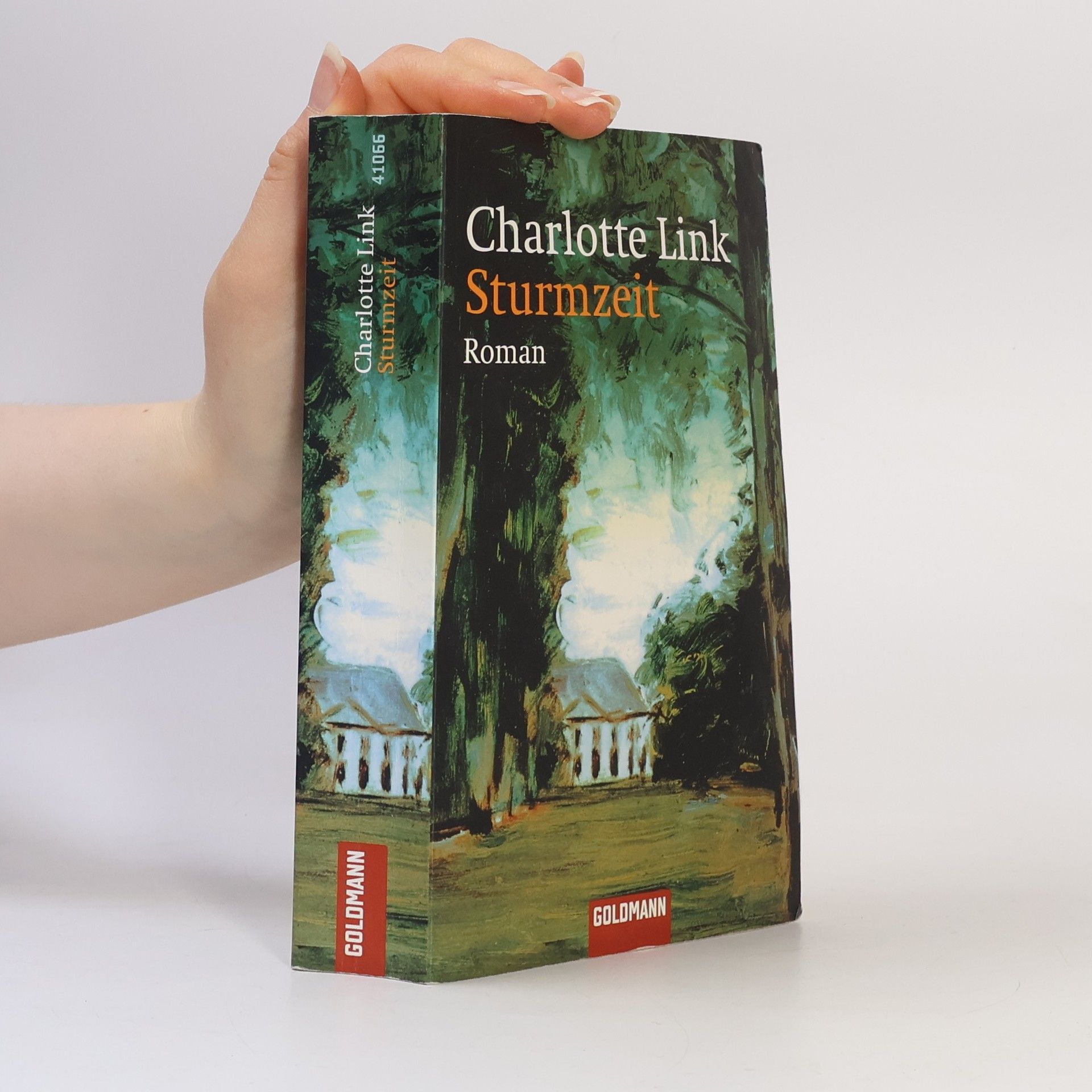 Charlotte Link Sturmzeit