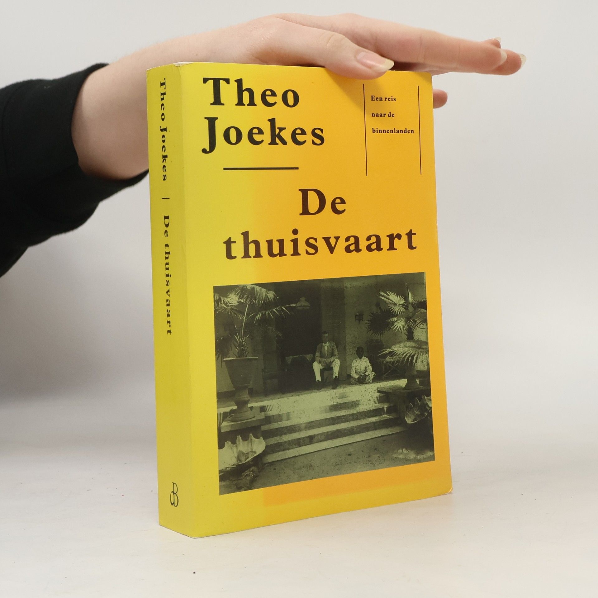 Theo Joekes De thuisvaart