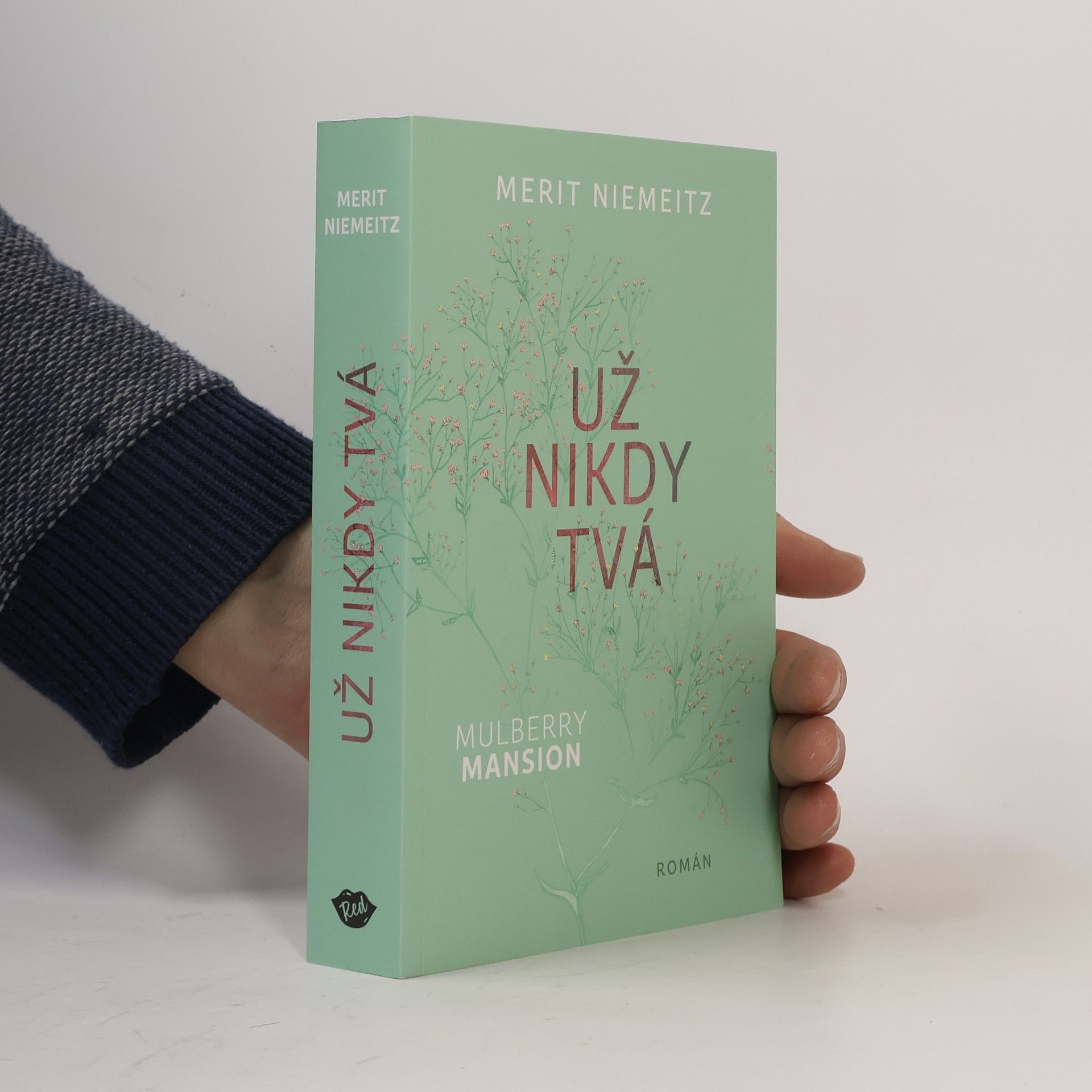 Merit Niemeitz Už nikdy tvá