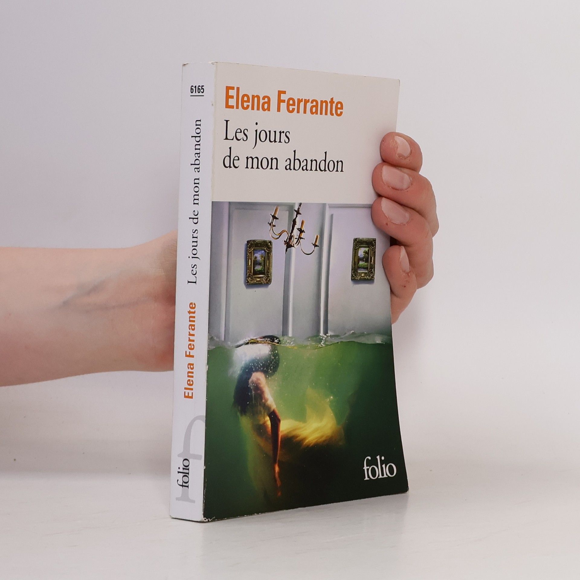 Elena Ferrante Les jours de mon abandon