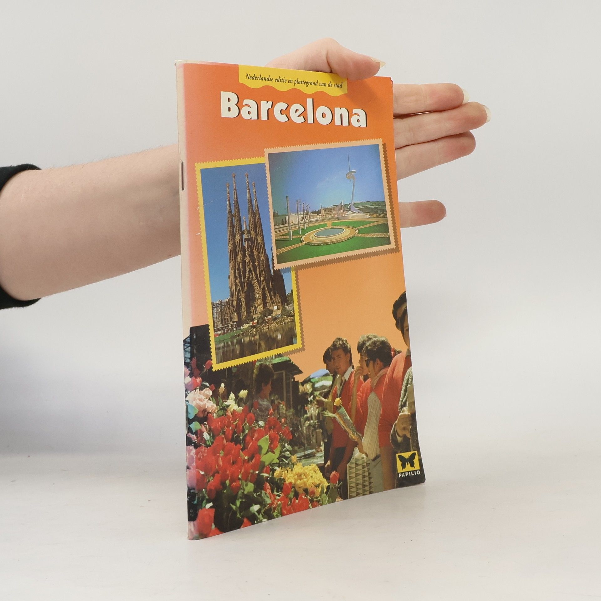 Dorothea Massmann Barcelona