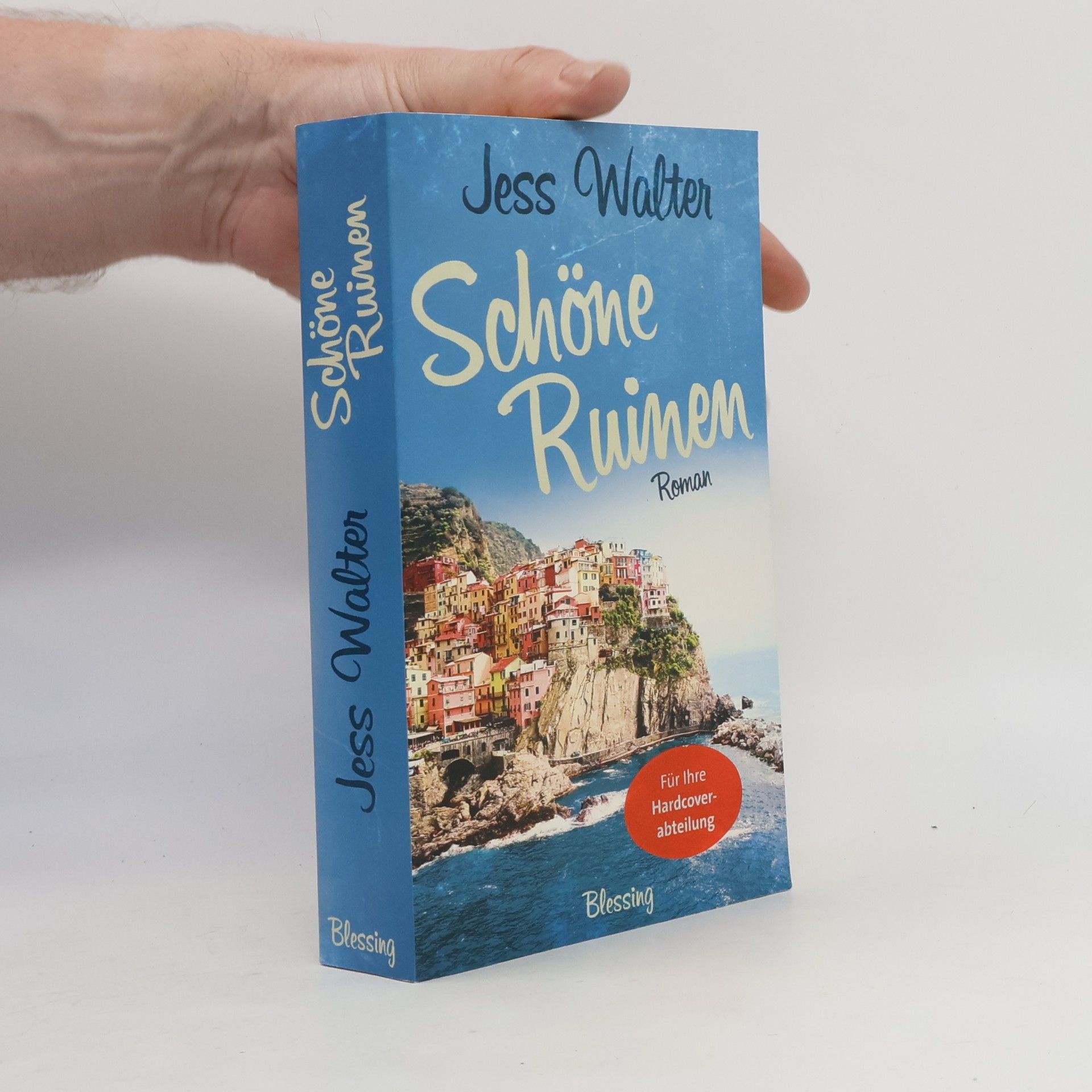 Jess Walter Schöne Ruinen
