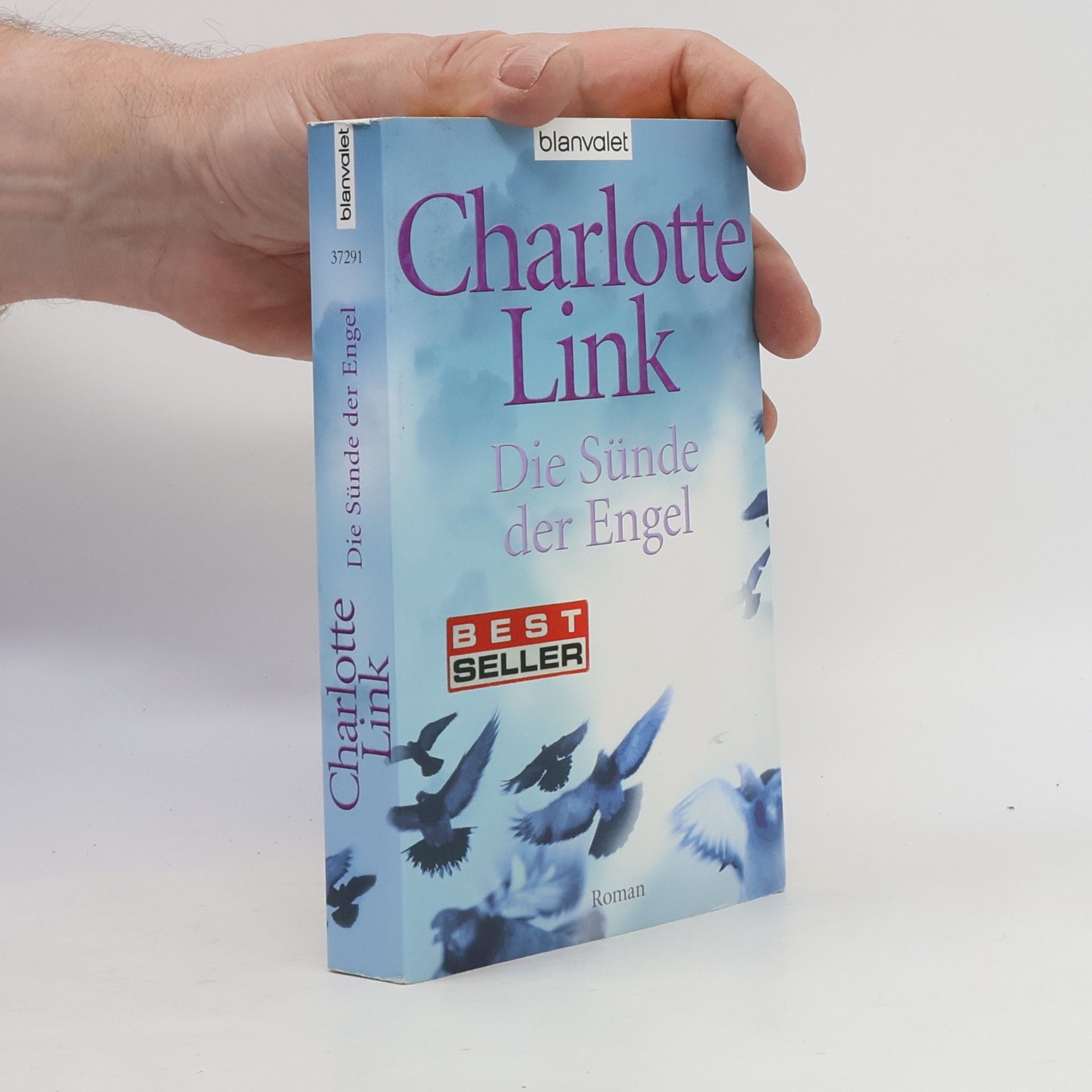 Charlotte Link Die Sünde der Engel