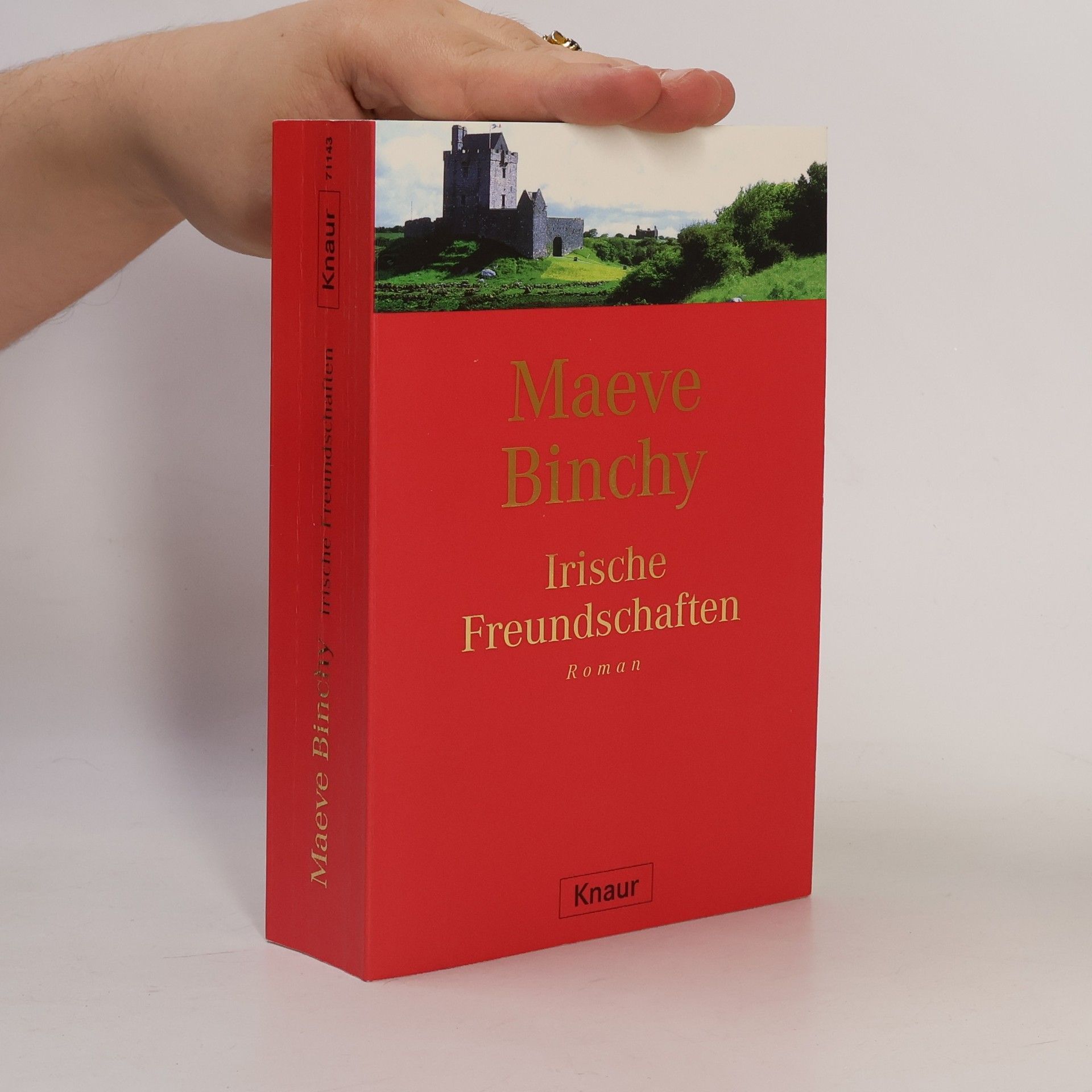 Maeve Binchy Irische Freundschaften