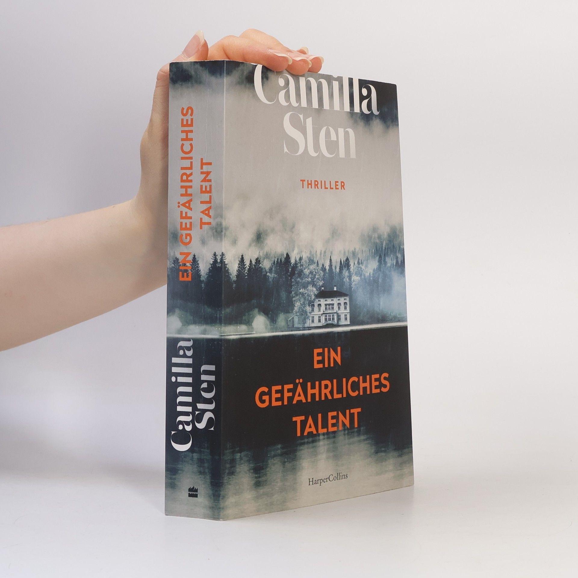 Camilla Sten Ein gefährliches Talent