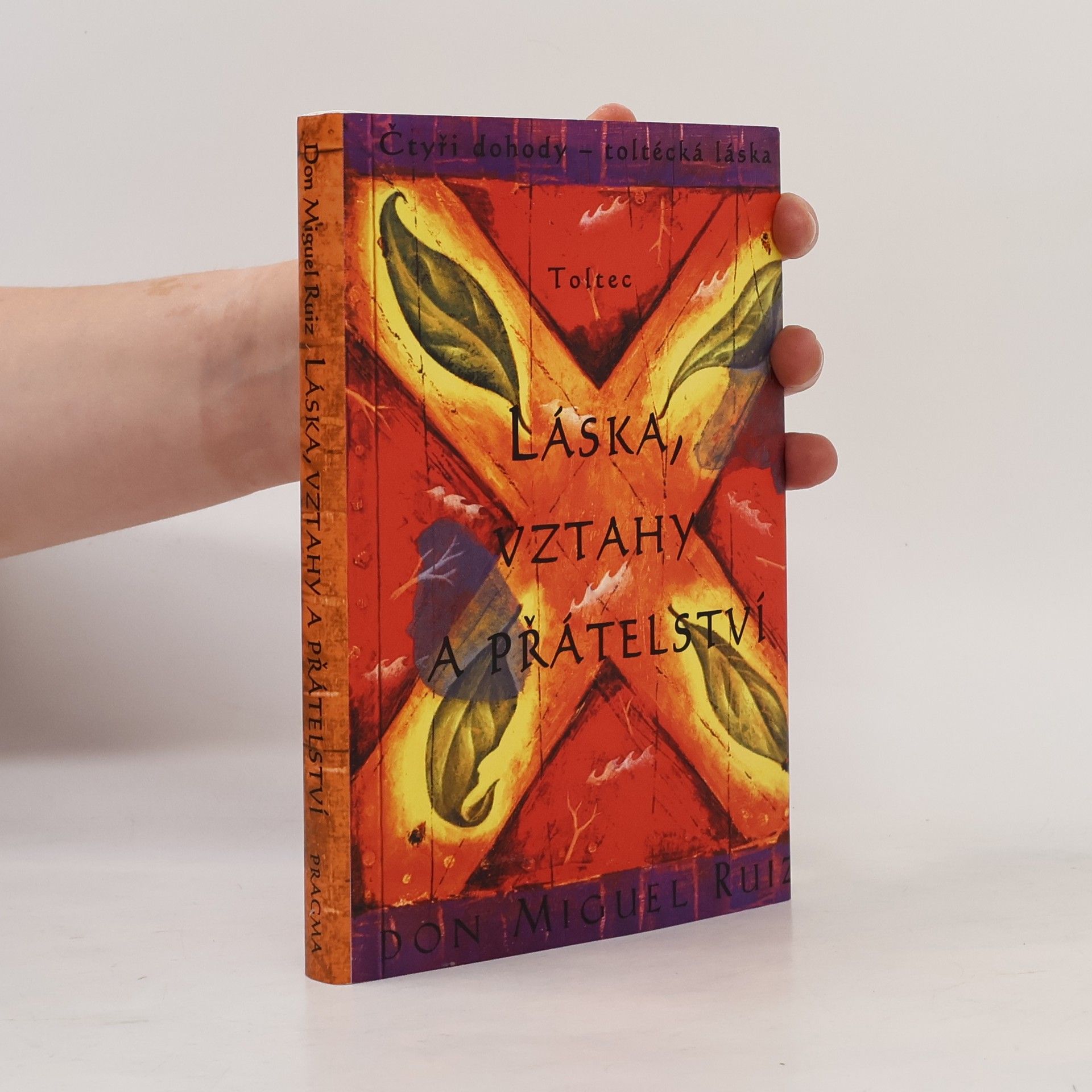 Don Miguel Ruiz Láska, vztahy a přátelství