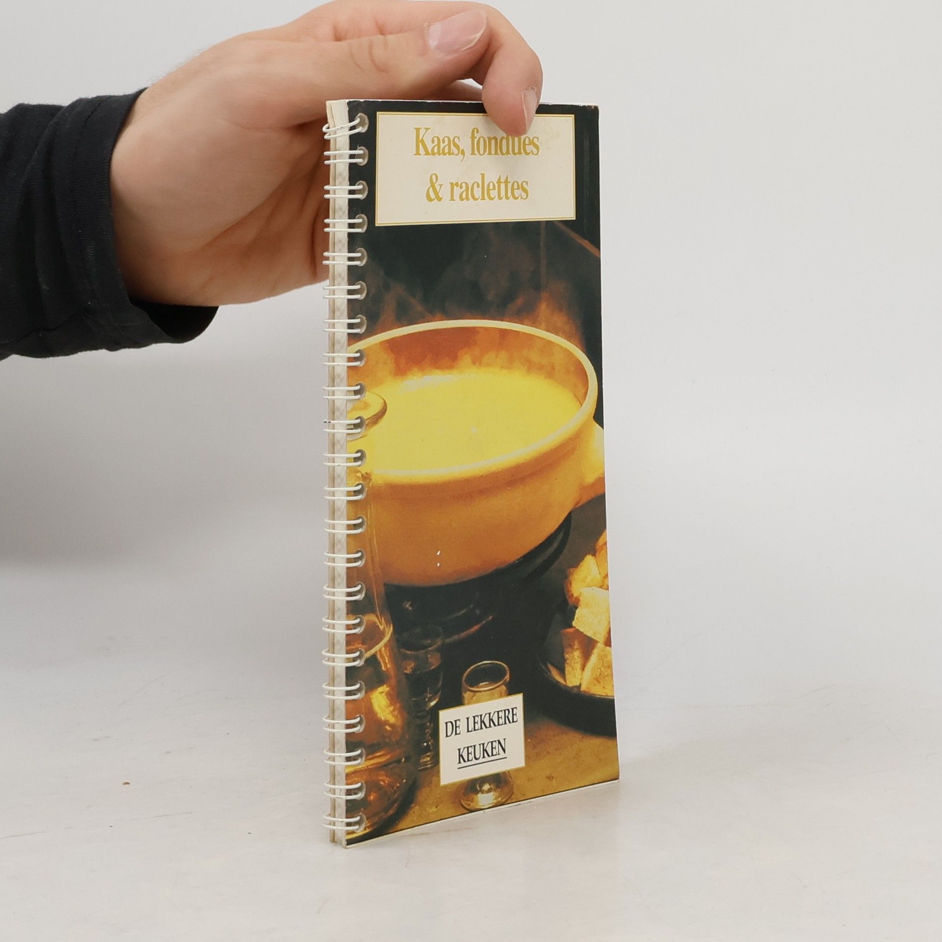 Kolektív autorov Kaas, fondues en raclettes