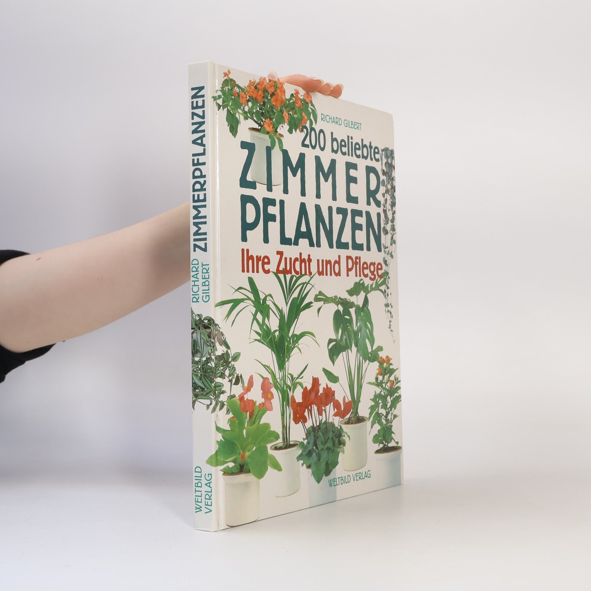 200 beliebte zimmer Pflanzen: Ihre Zucht und Pflege
