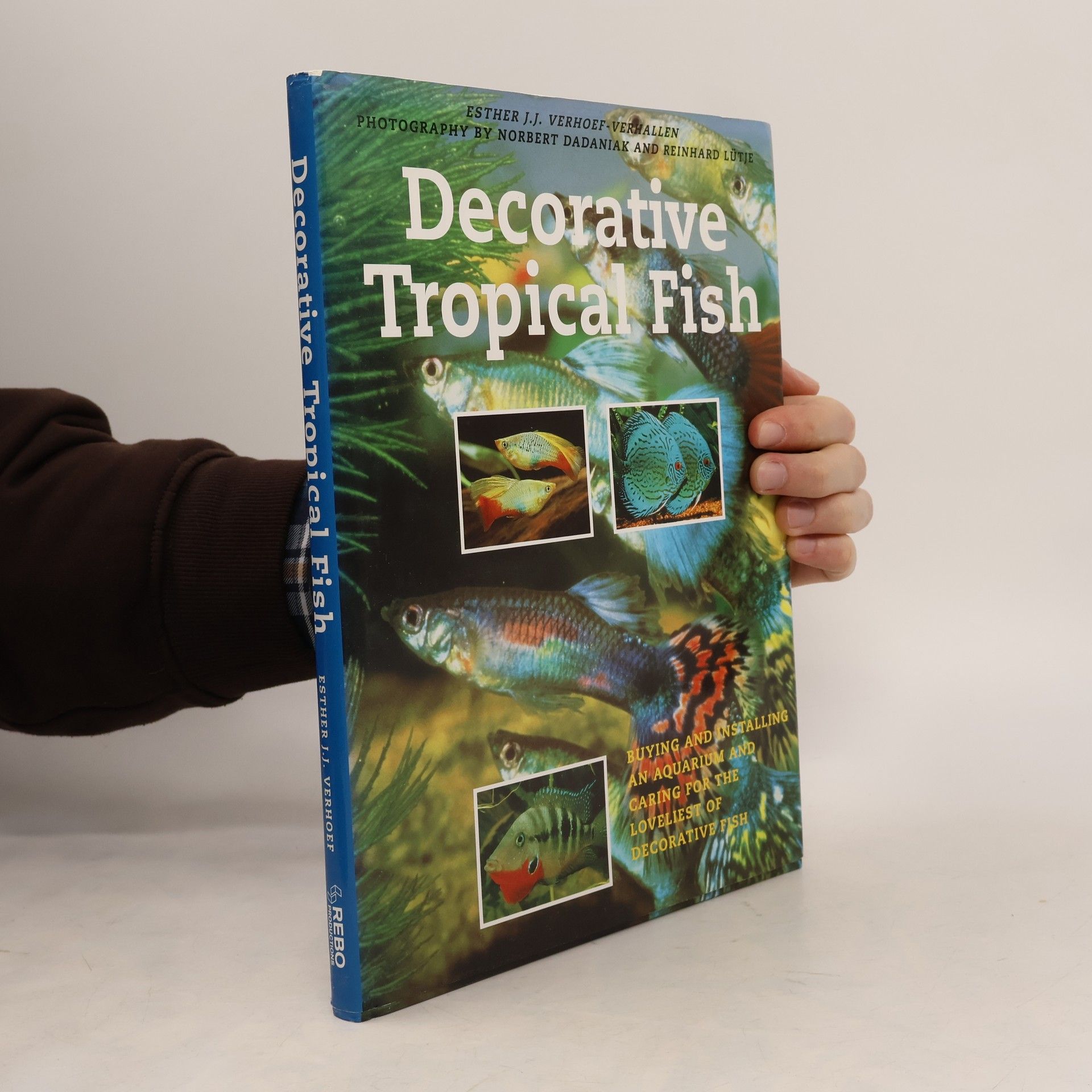 Decorative Tropical Fish