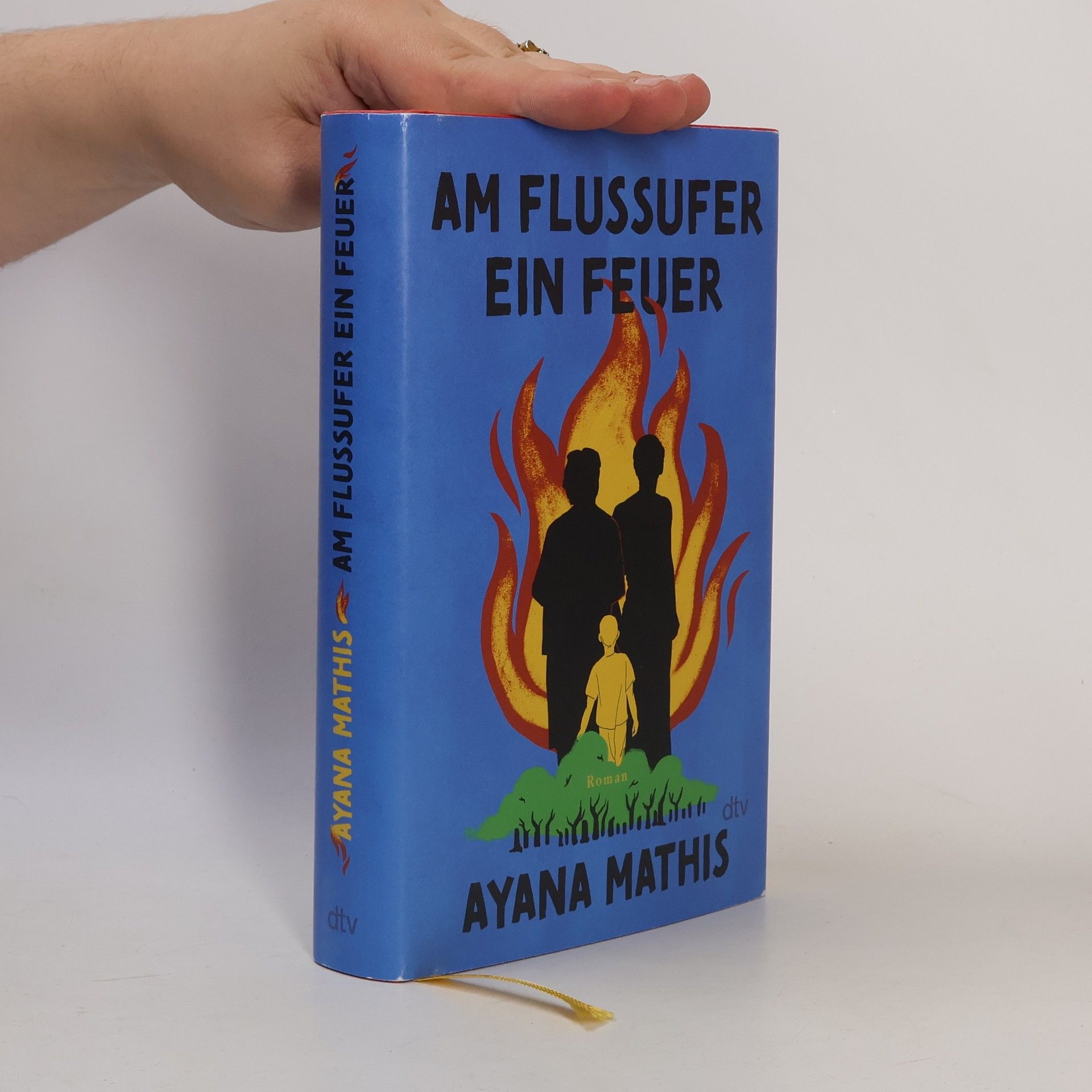 Ayana Mathis Am Flussufer ein Feuer. Roman