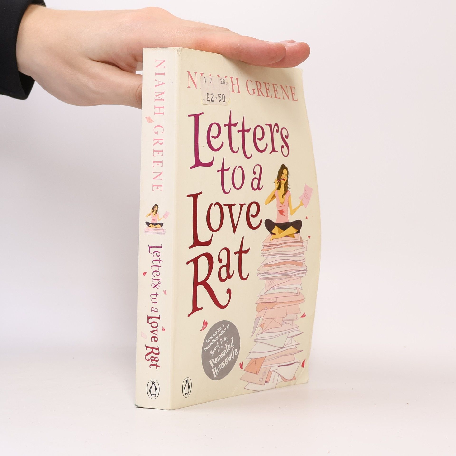 Niamh Greene Letters to a Love Rat