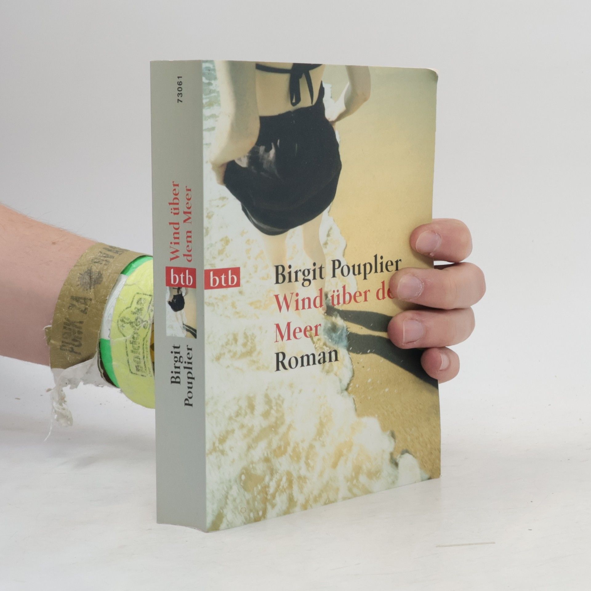 Kerstin Schöps Wind über dem Meer - Deutsche Erstausgabe