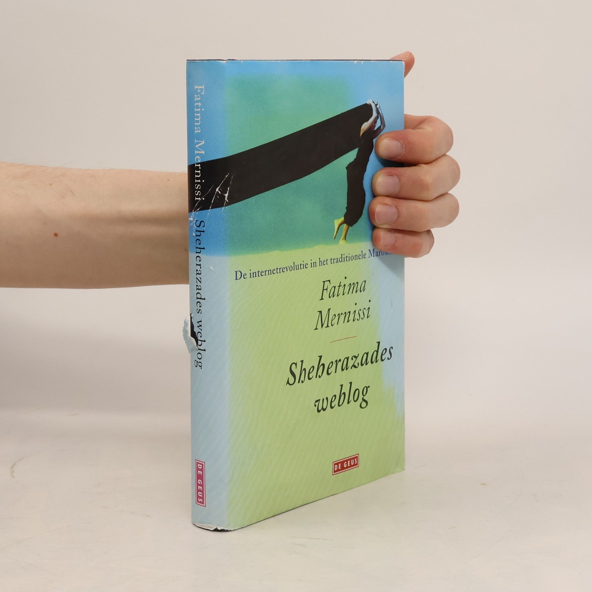 Pieter van der Drift Sheherazades weblog