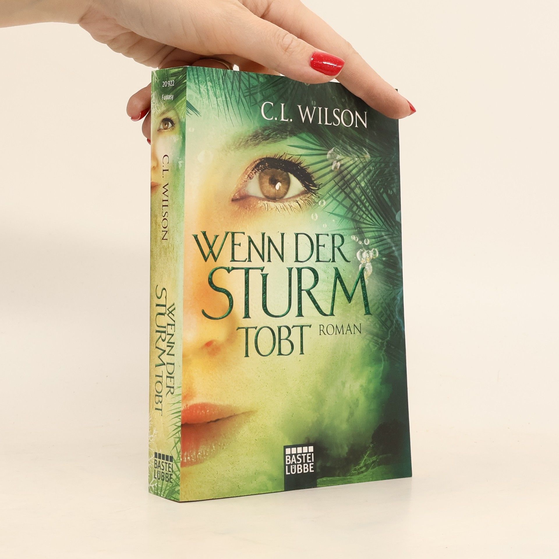 Cecil Leeburn Wilson Wenn der Sturm tobt