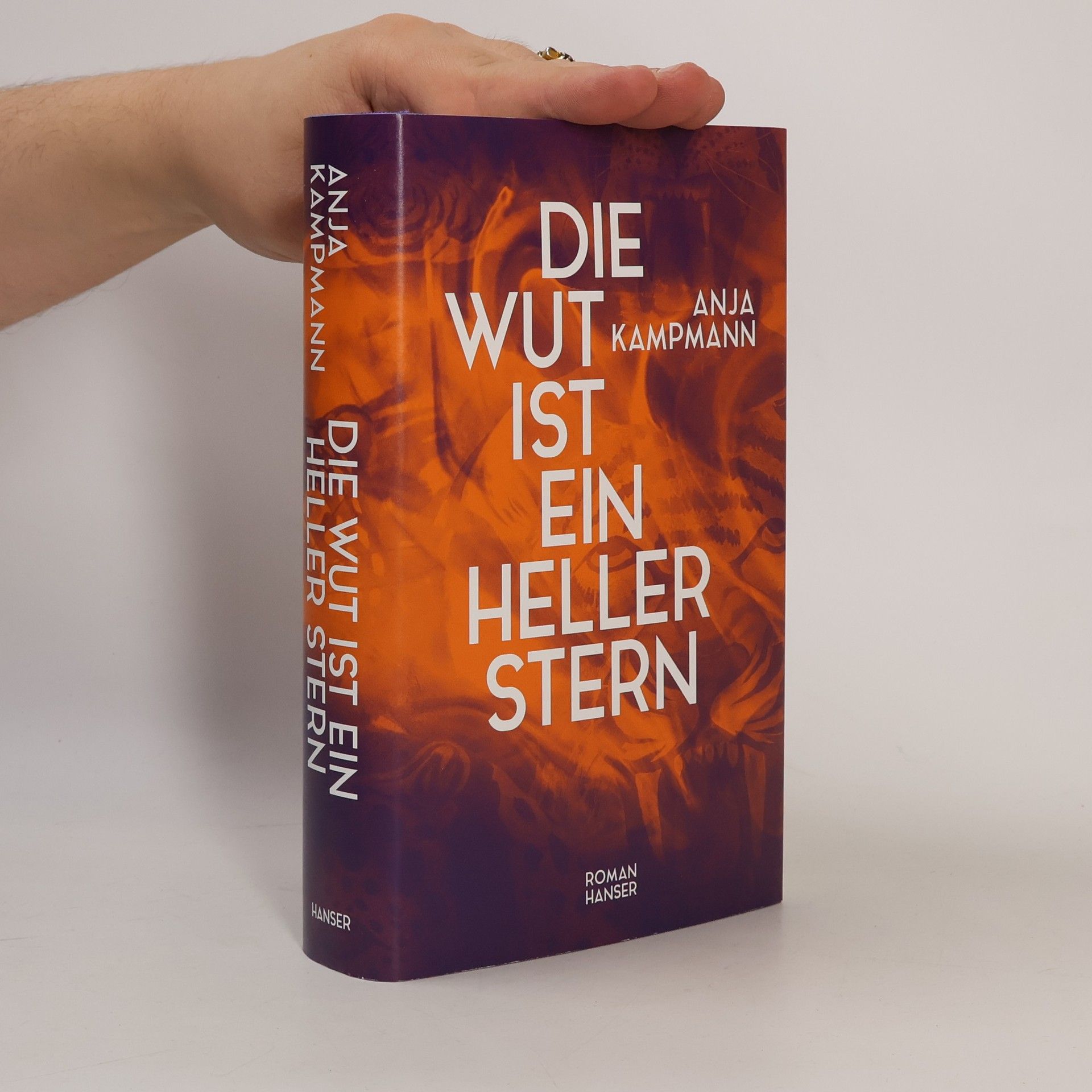 Anja Kampmann Die Wut ist ein heller Stern