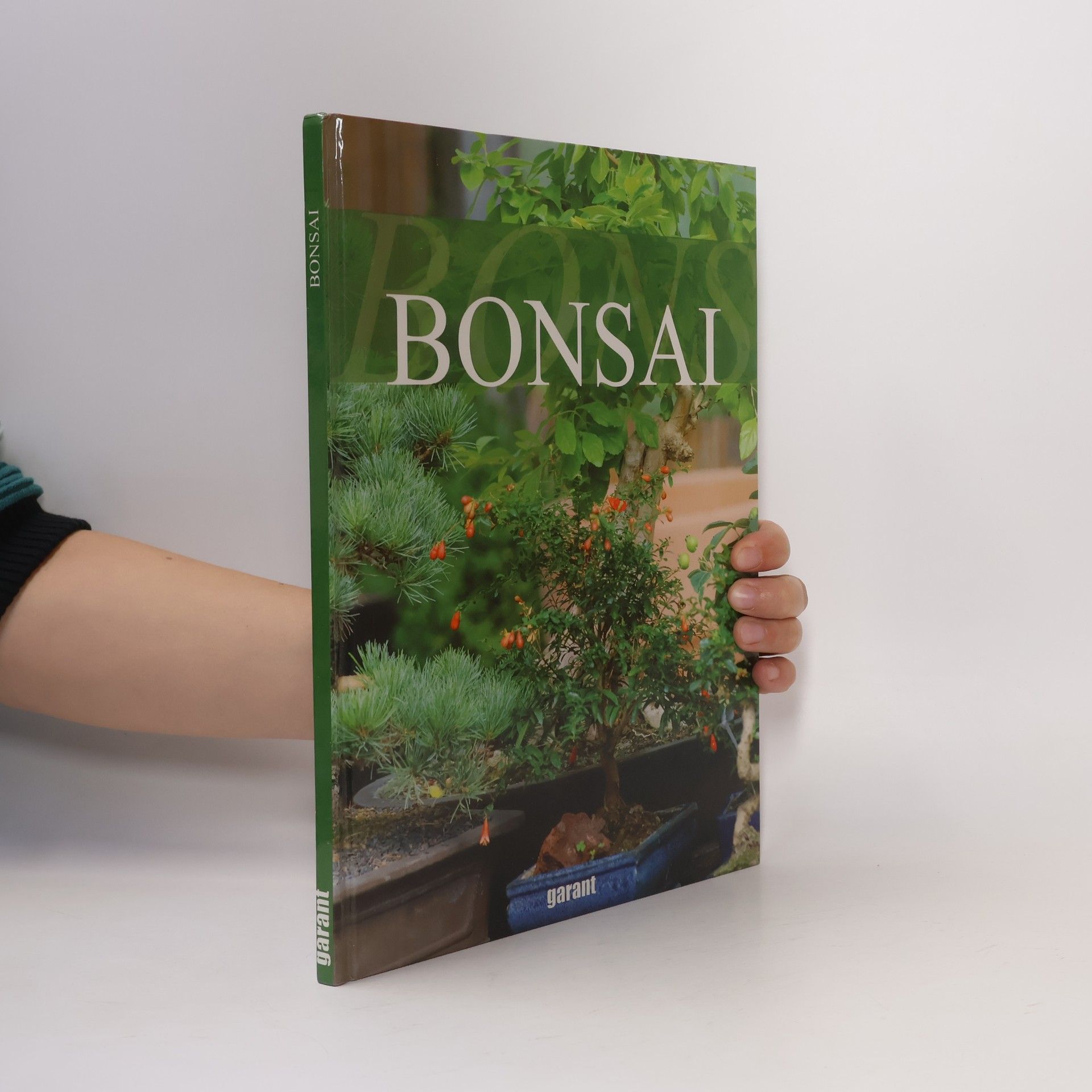 Alex Probst Bonsai