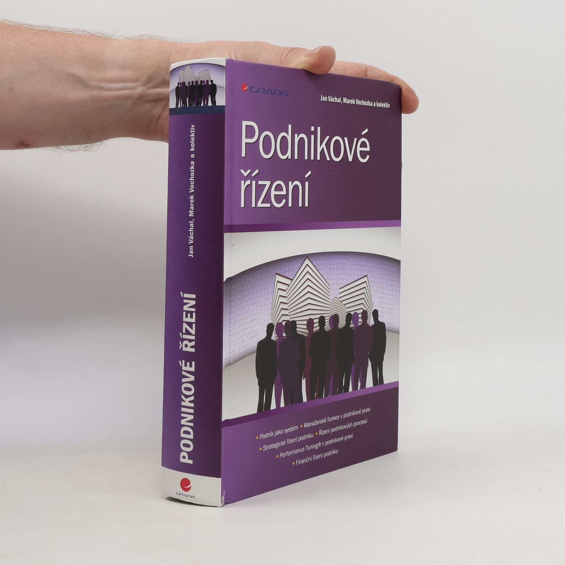 Marek Vochozka Podnikové řízení
