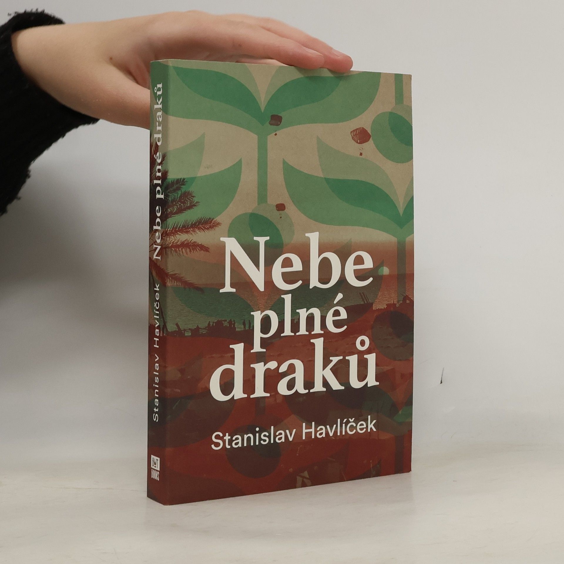 Stanislav Havlicek Nebe plné draků