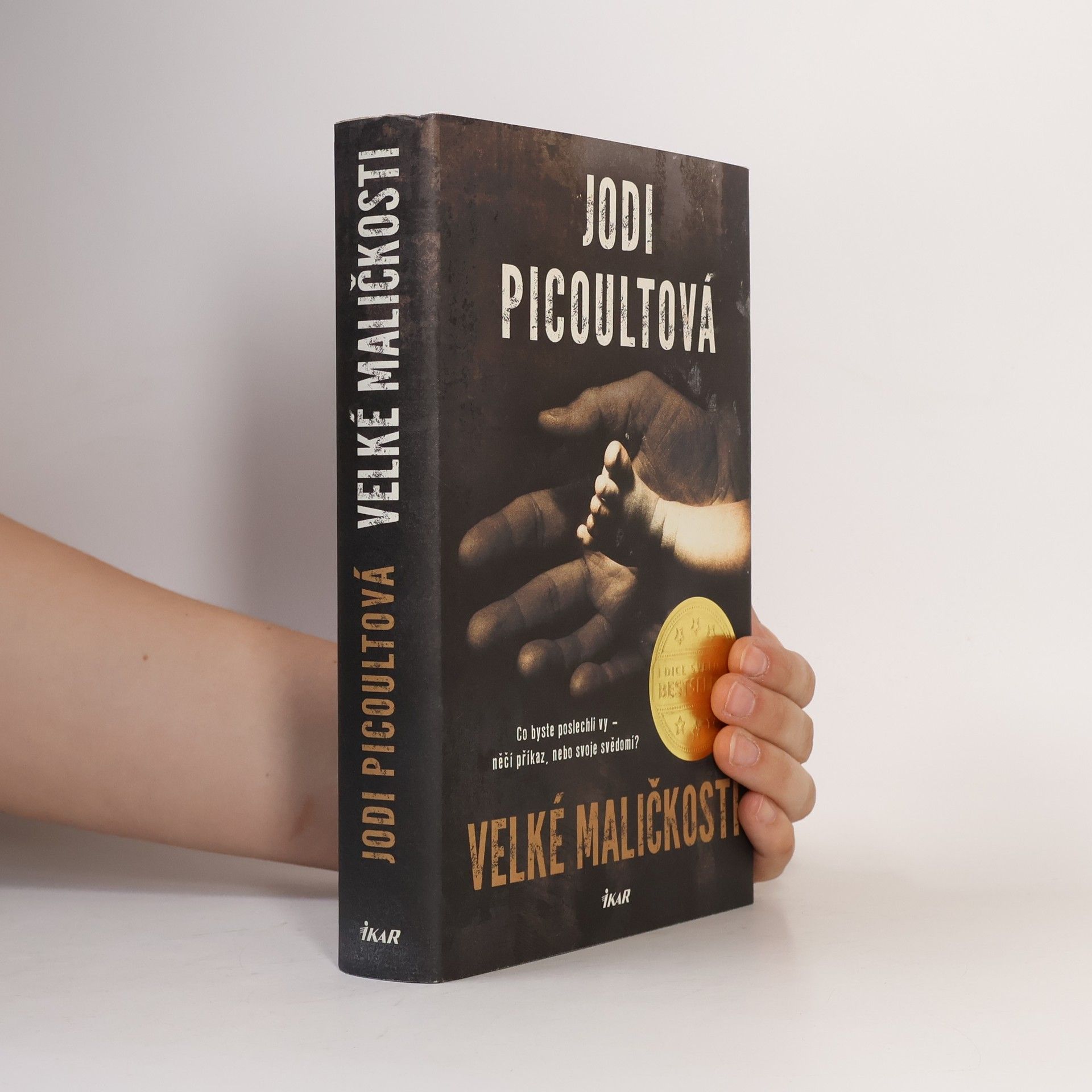 Jodi Picoult Velké maličkosti
