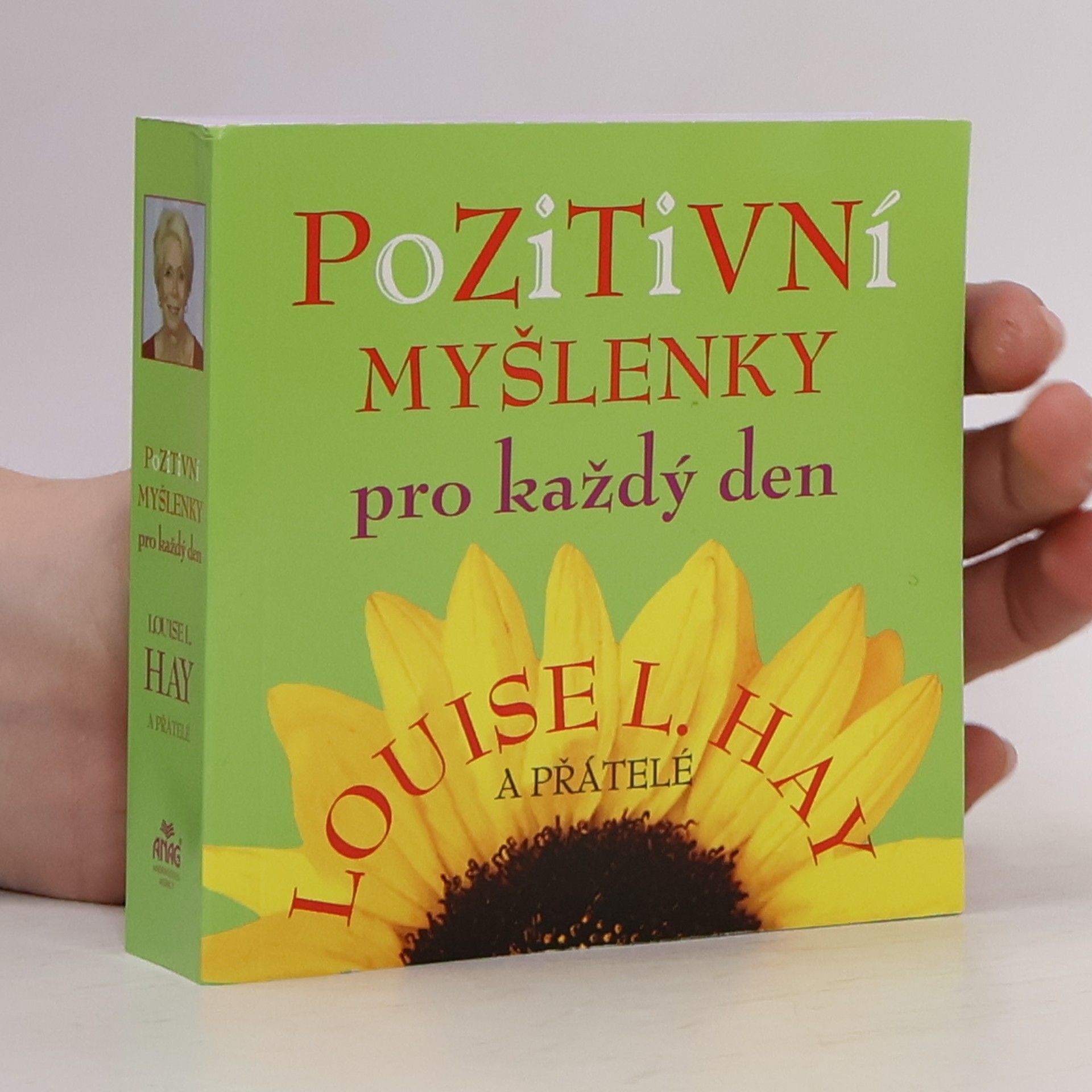 Louise Lynn Hay Pozitivní myšlenky pro každý den
