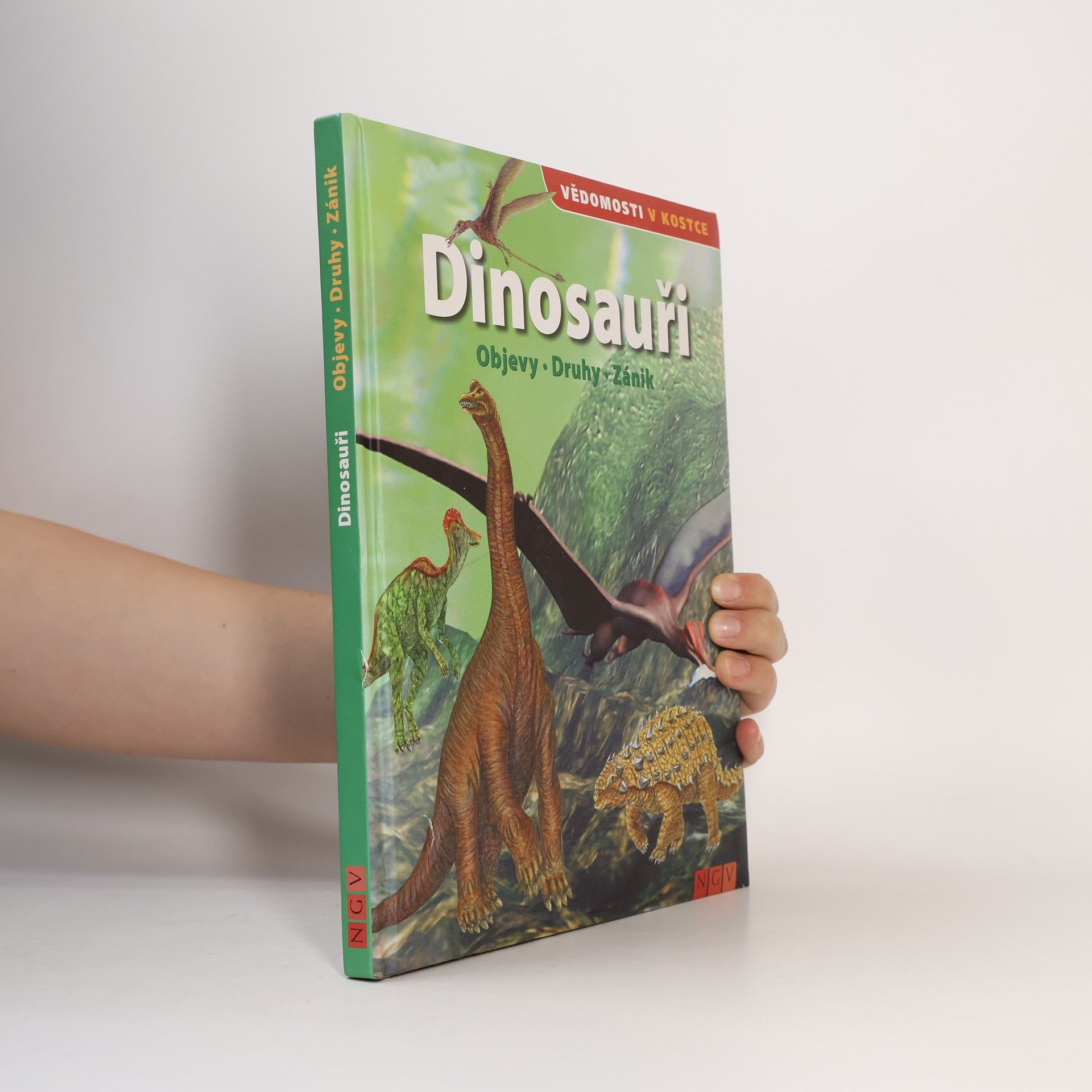 Autorenkollektiv Dinosauři