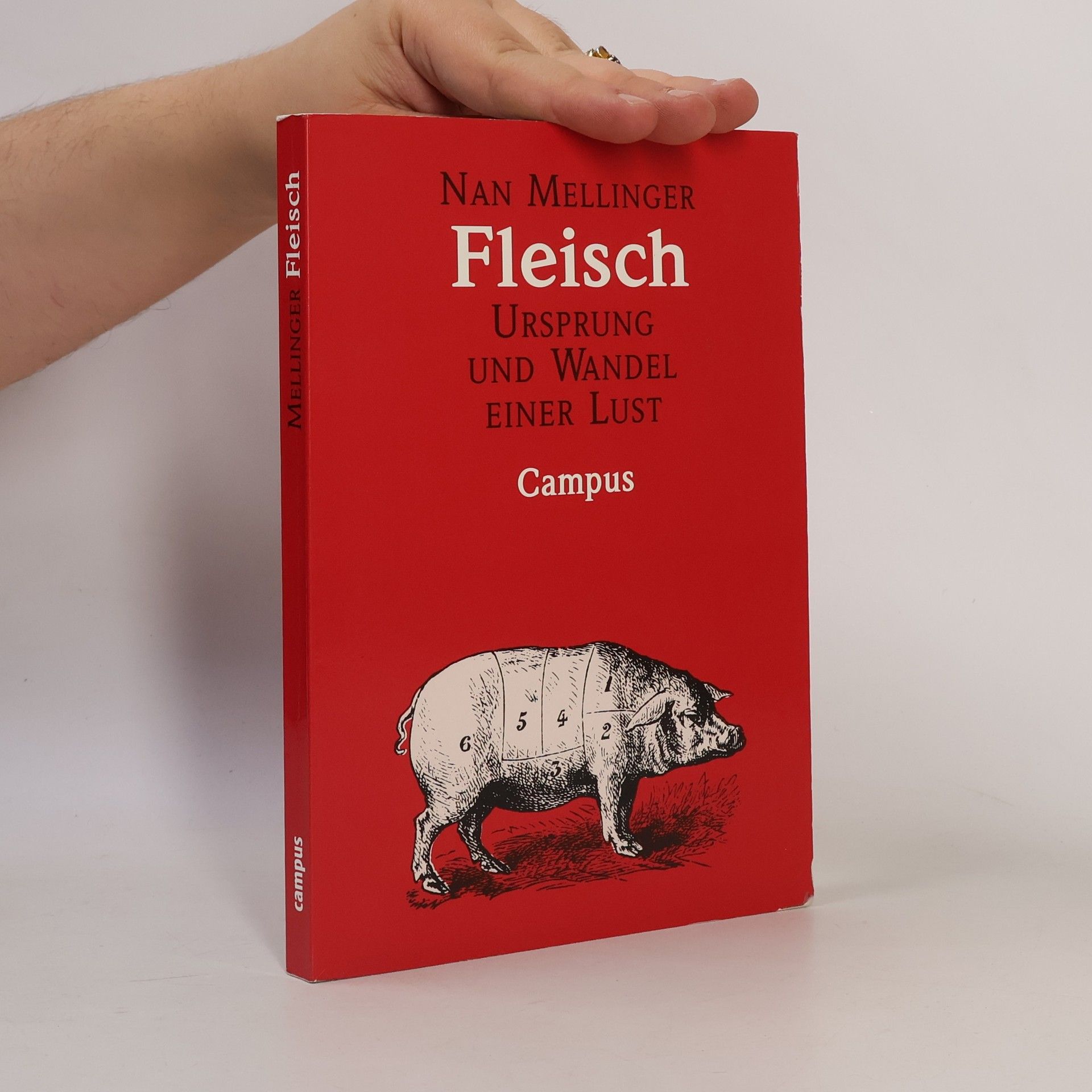 Nan Mellinger Fleisch
