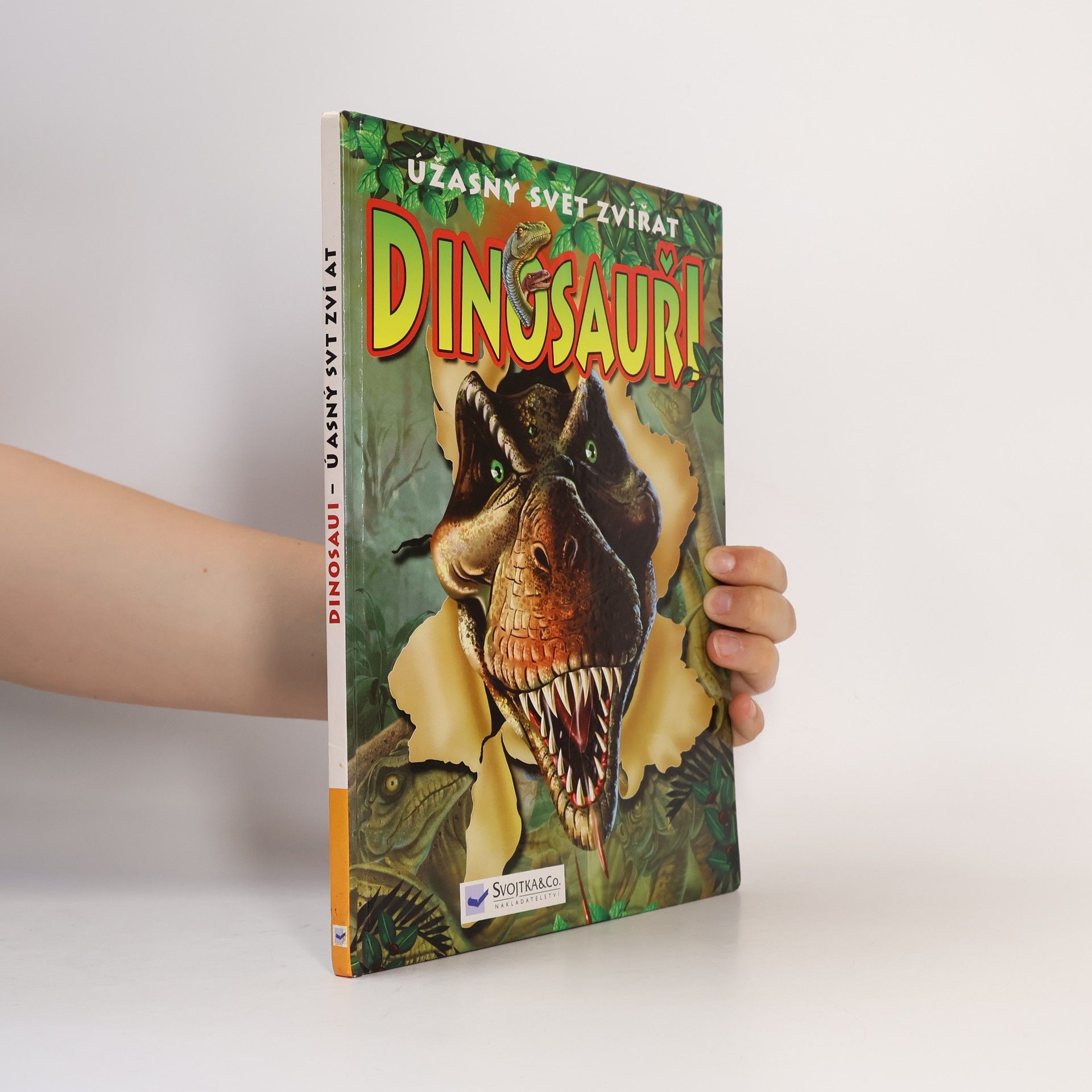 Martin Hrubeš Dinosauři : úžasný svět zvířat