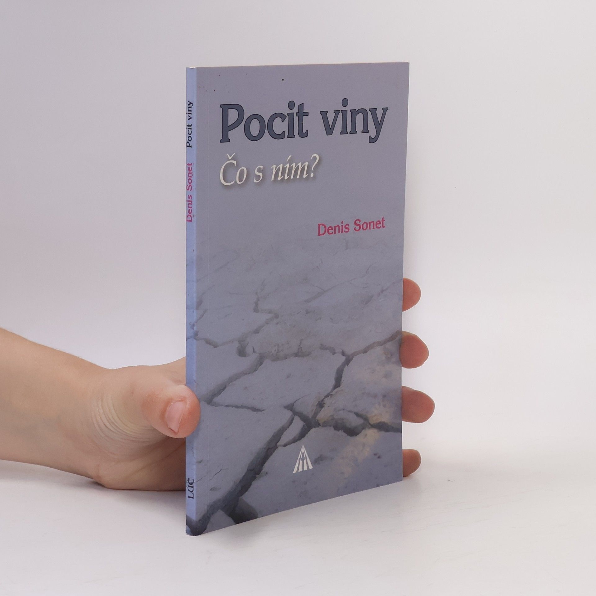 Denis Sonet Pocit viny