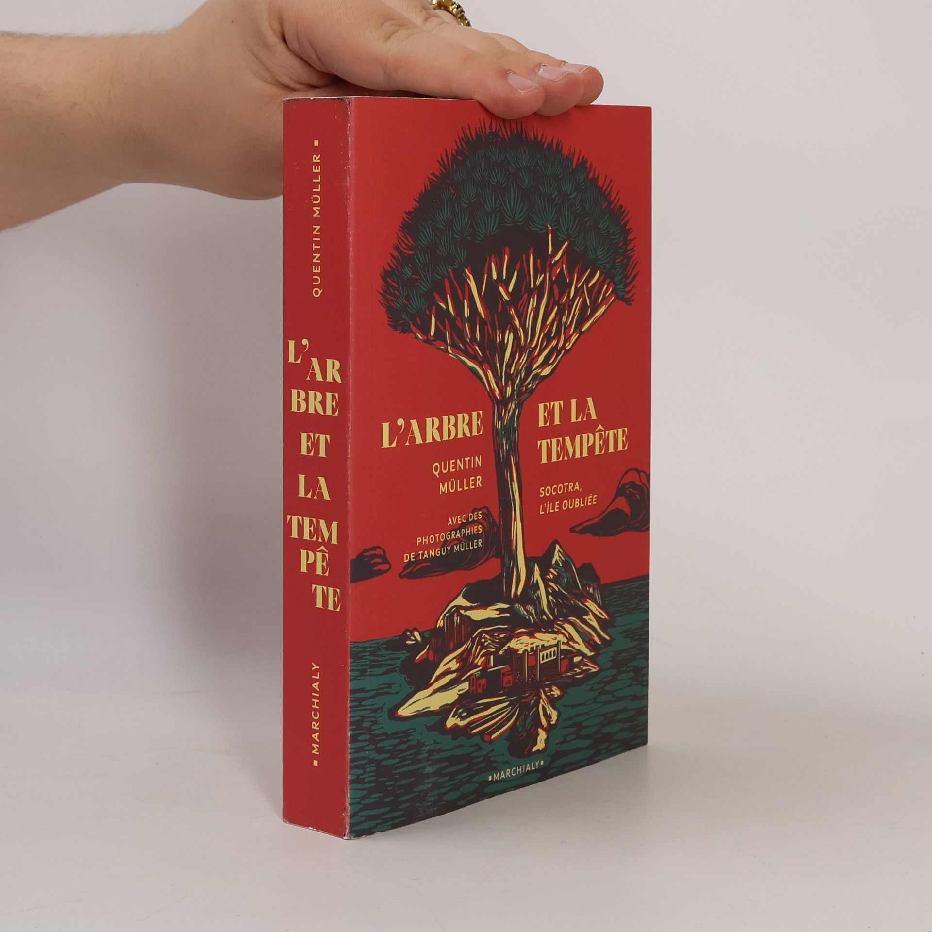 Tanguy Müller L'arbre et la tempête