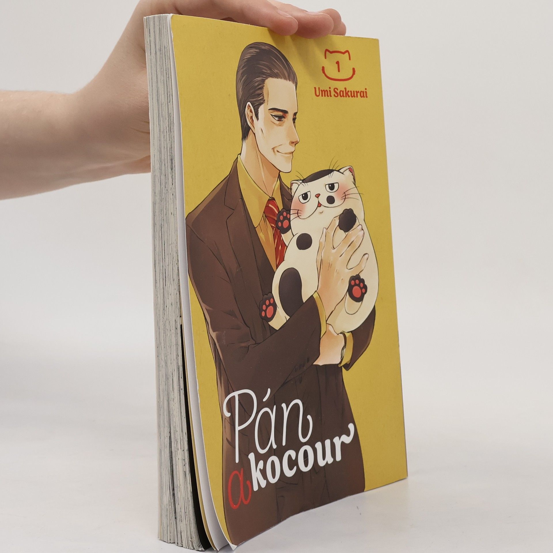 Umi Sakurai Pán a kocour 1