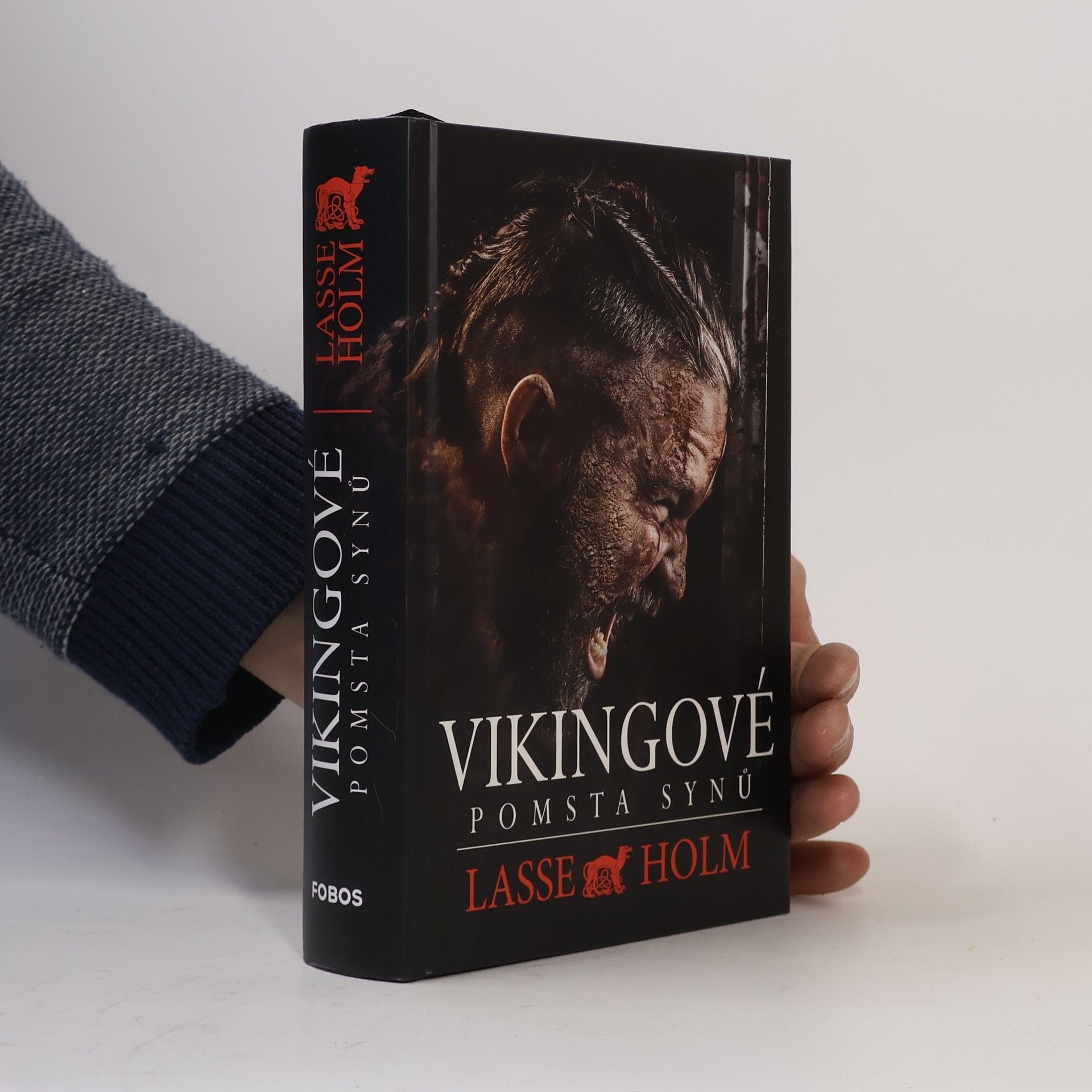 Lasse Holm Vikingové. Pomsta synů