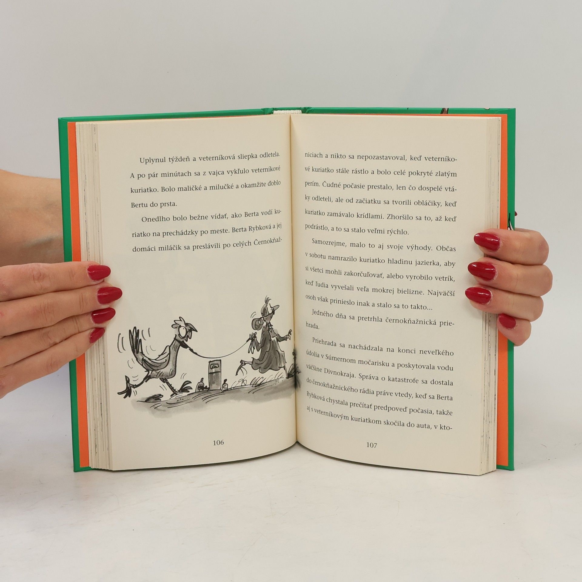 Terry Pratchett Santa a jeho falošná brada