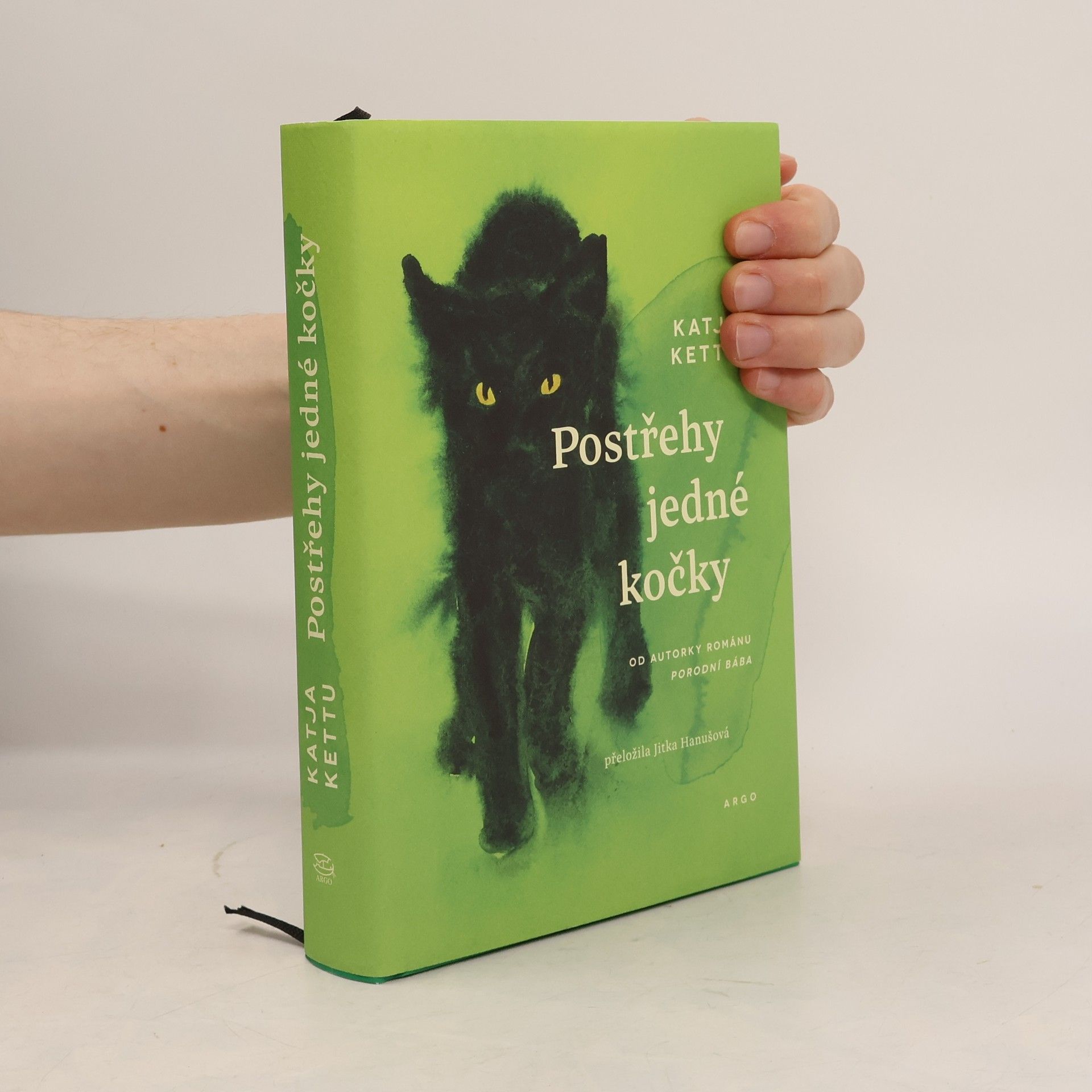 Katja Kettu Postřehy jedné kočky
