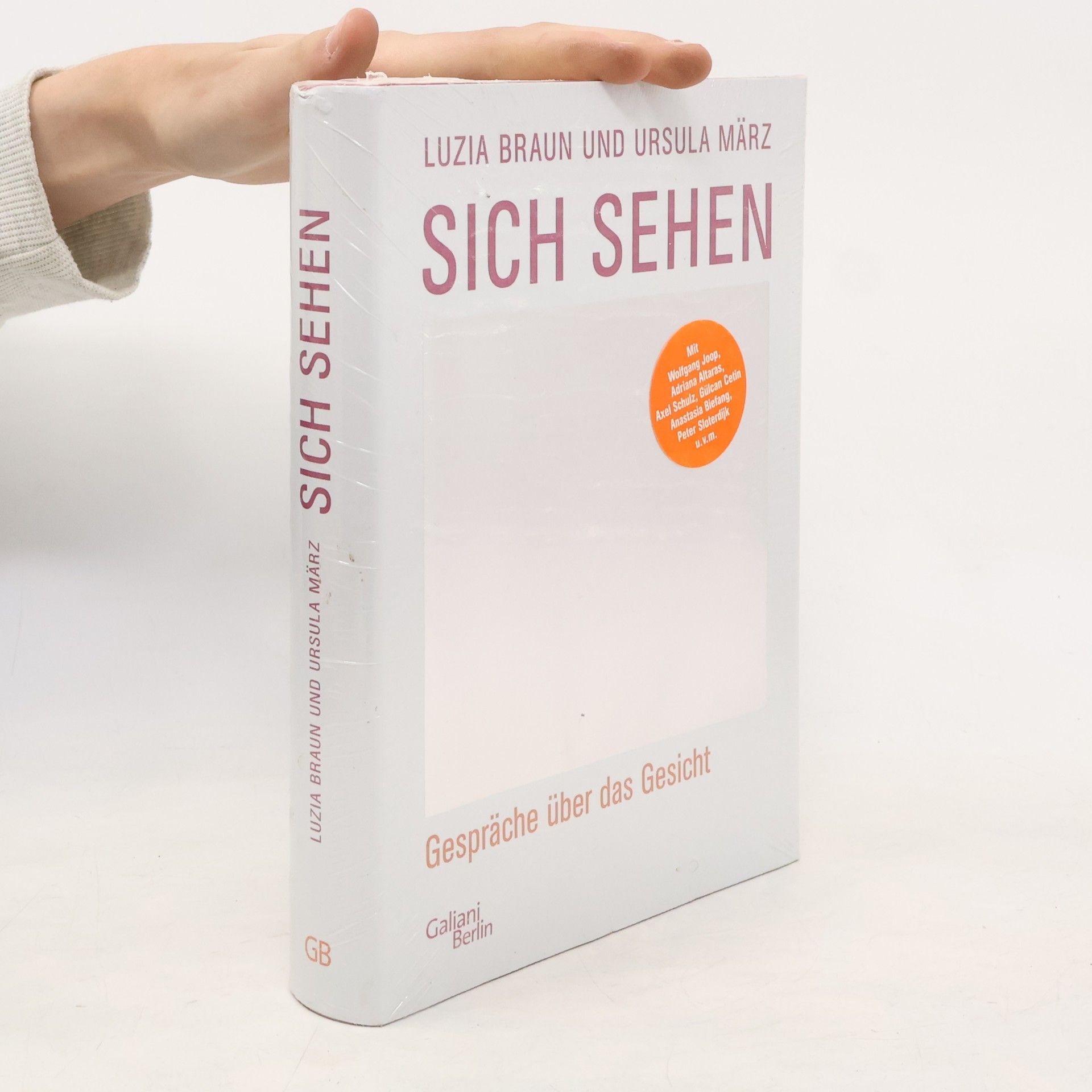 Luzia Braun Sich sehen. Gespräche über das Gesicht