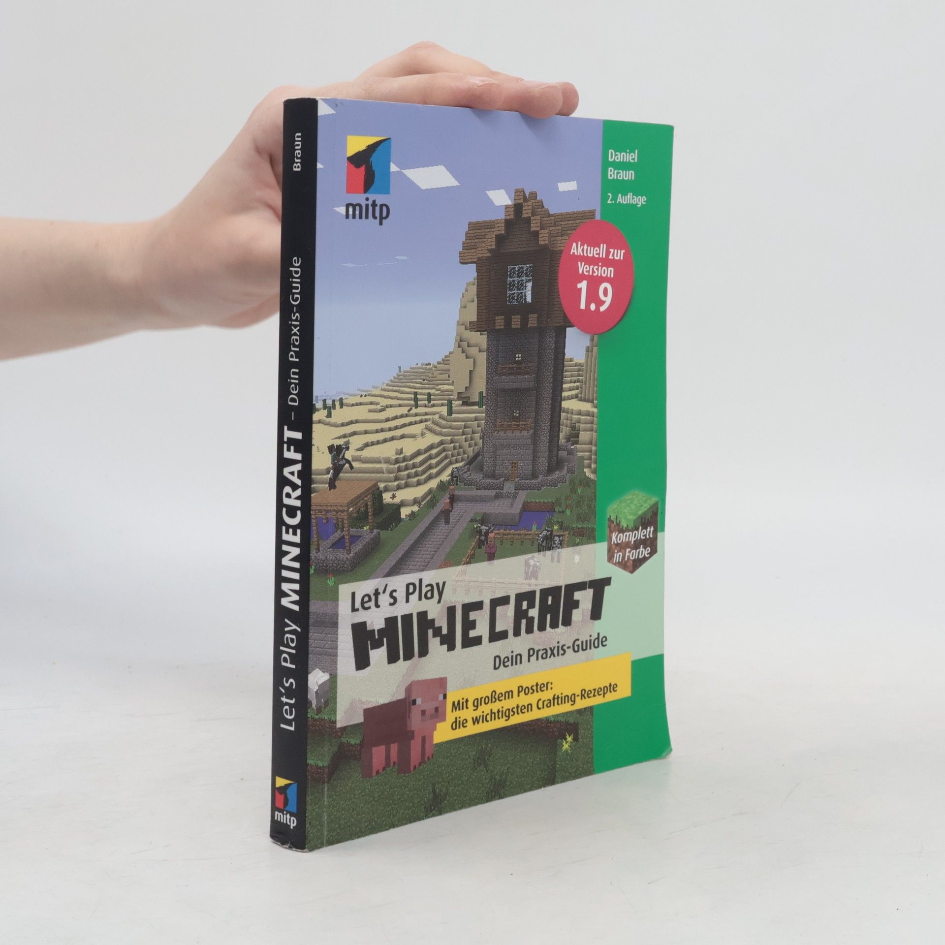 Daniel Braun Let's play Minecraft - dein Praxis-Guide
