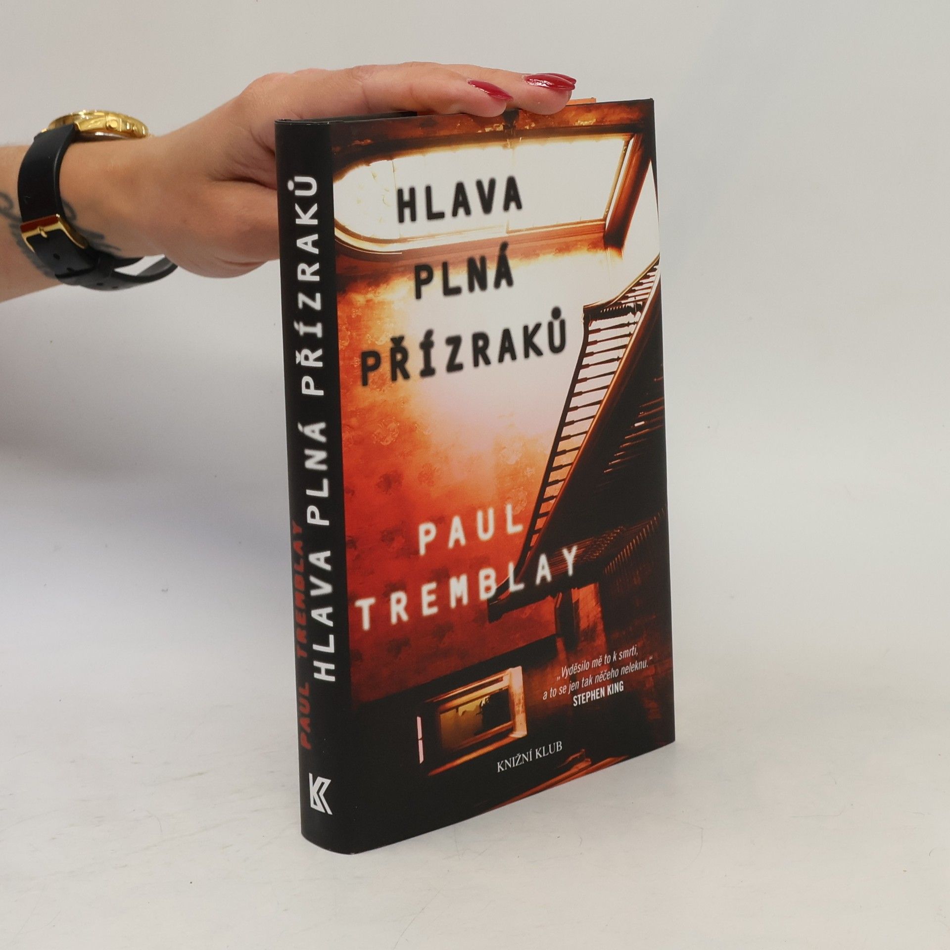 Paul Tremblay Hlava plná přízraků