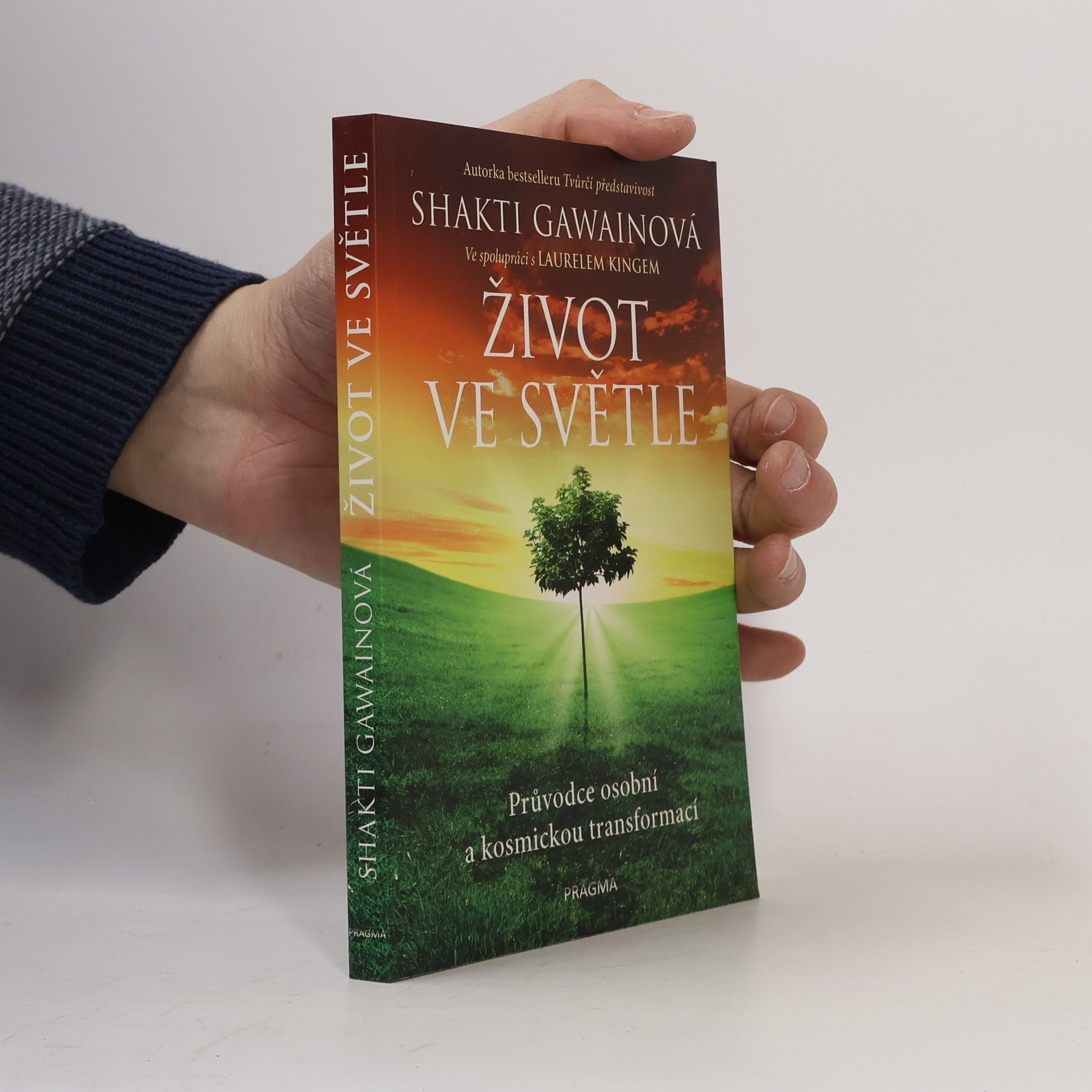 Shakti Gawain Život ve světle