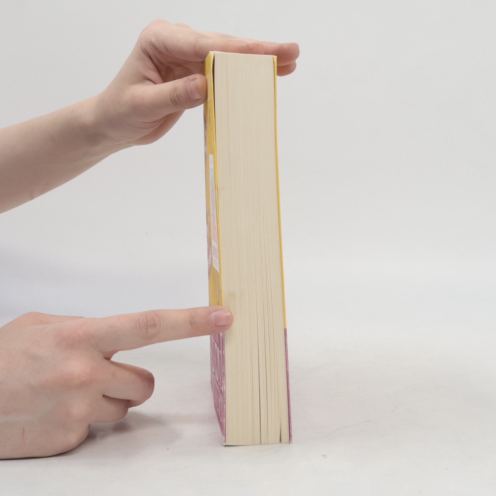 Lori Nelson Spielman Nur einen Horizont entfernt