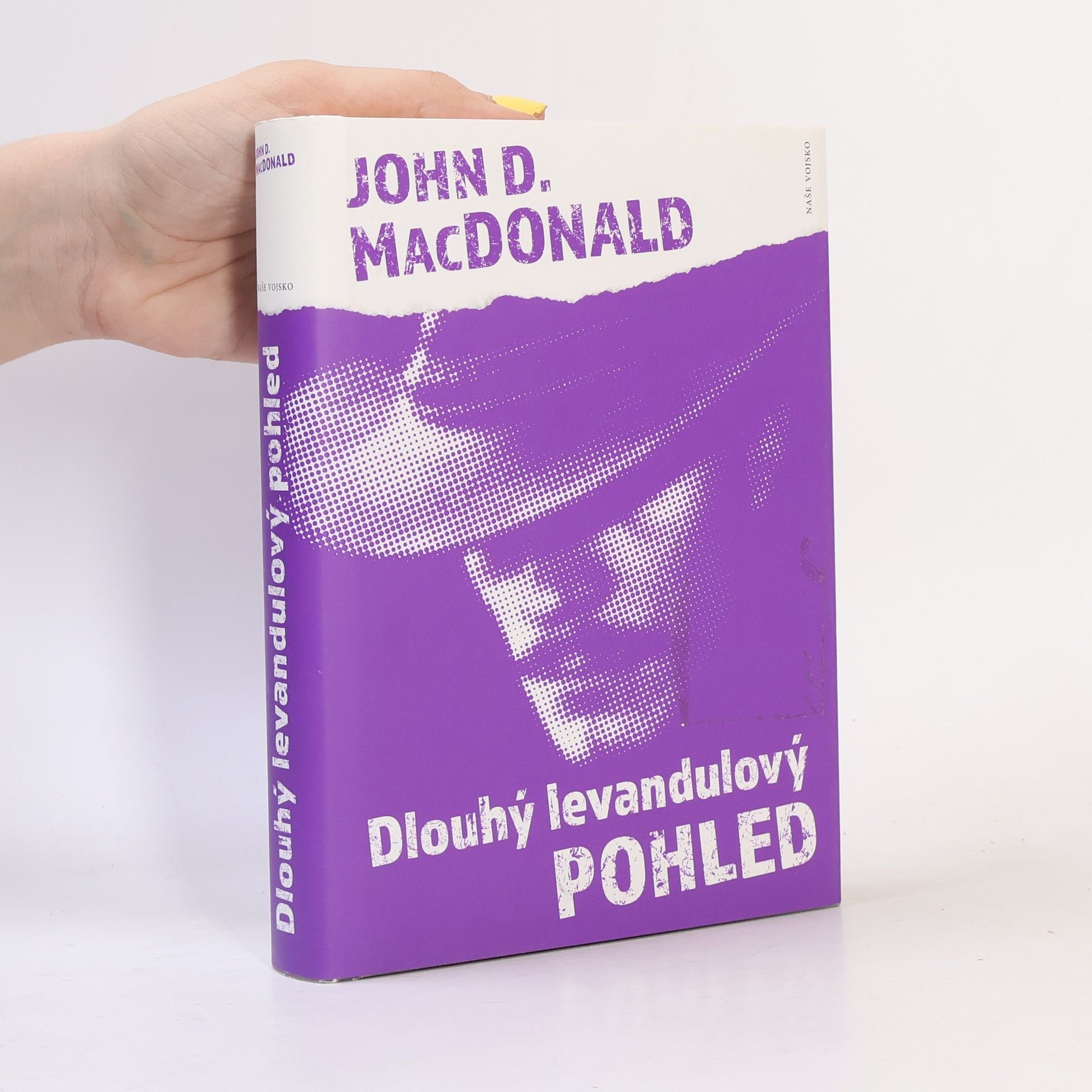 Pavel Medek Dlouhý levandulový pohled
