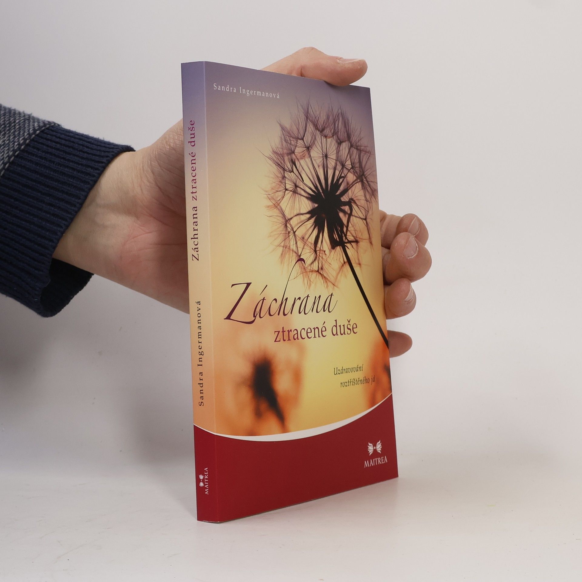 Sandra Ingerman Záchrana ztracené duše. Uzdravování roztříštěného já